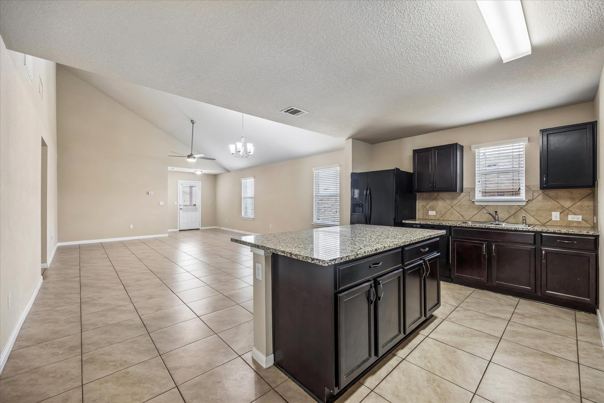291 Dusky Thrush DR