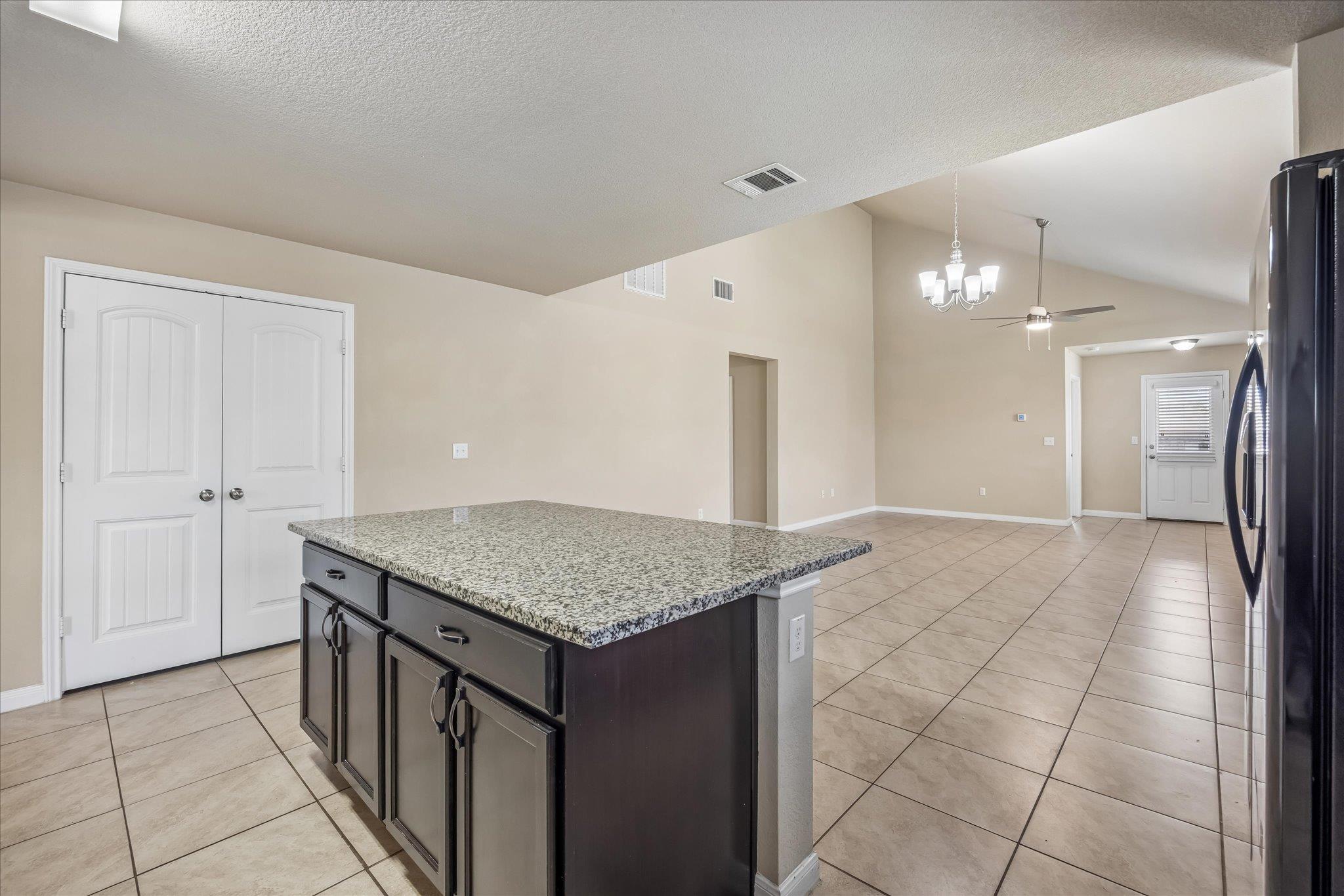 291 Dusky Thrush DR
