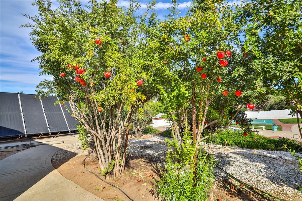 1233 Coronet Drive