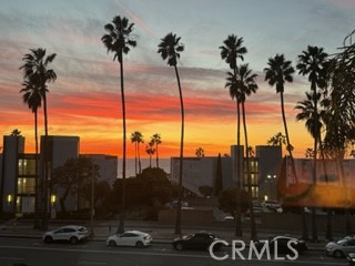 200 S Catalina Avenue Unit: 202