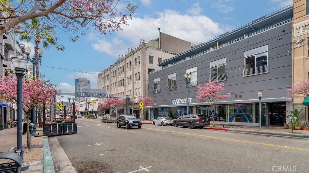 433 Pine Avenue 102