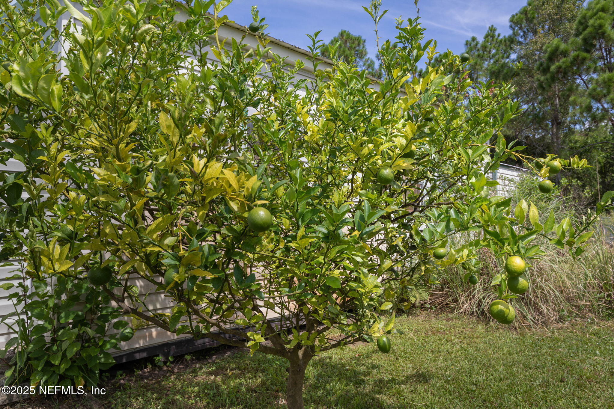 2760 N SCREECH OWL Avenue, St. Augustine