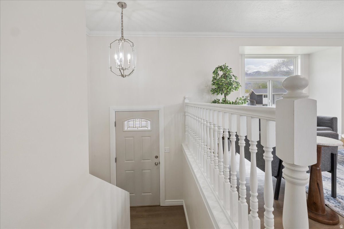 556 KIMBALL DR