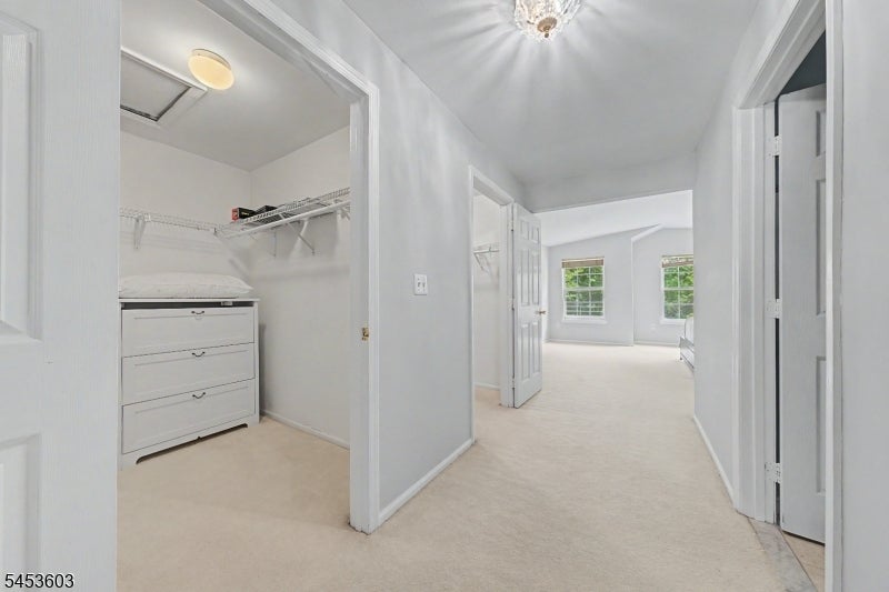 7 Caroline Foster Ct