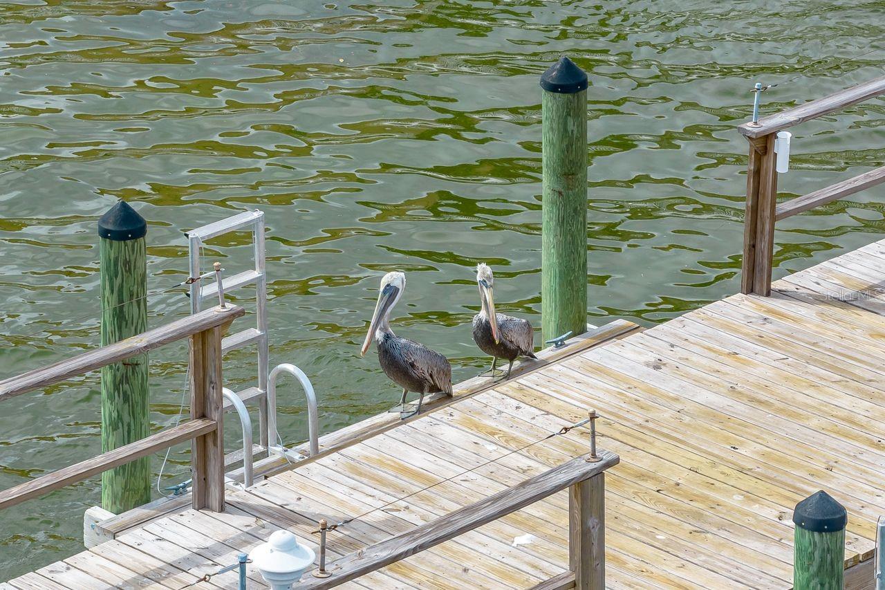 7400 SUNSHINE SKYWAY LANE S Unit: 103