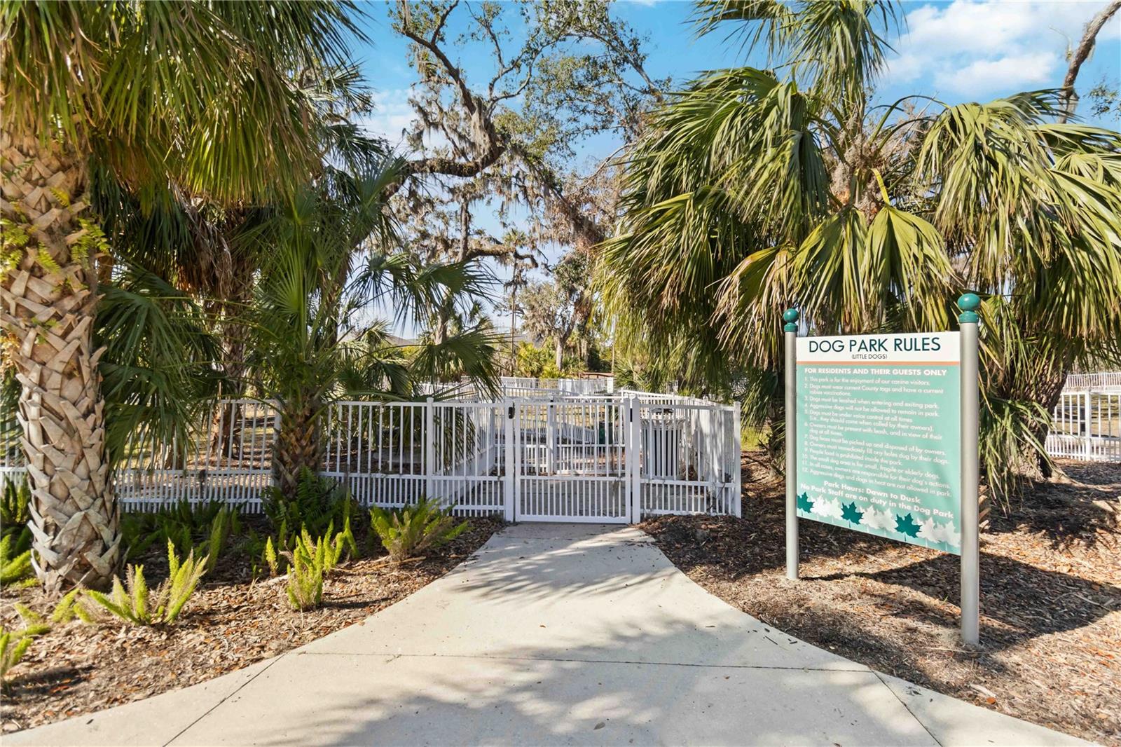 10931 BLUE MAGNOLIA LN