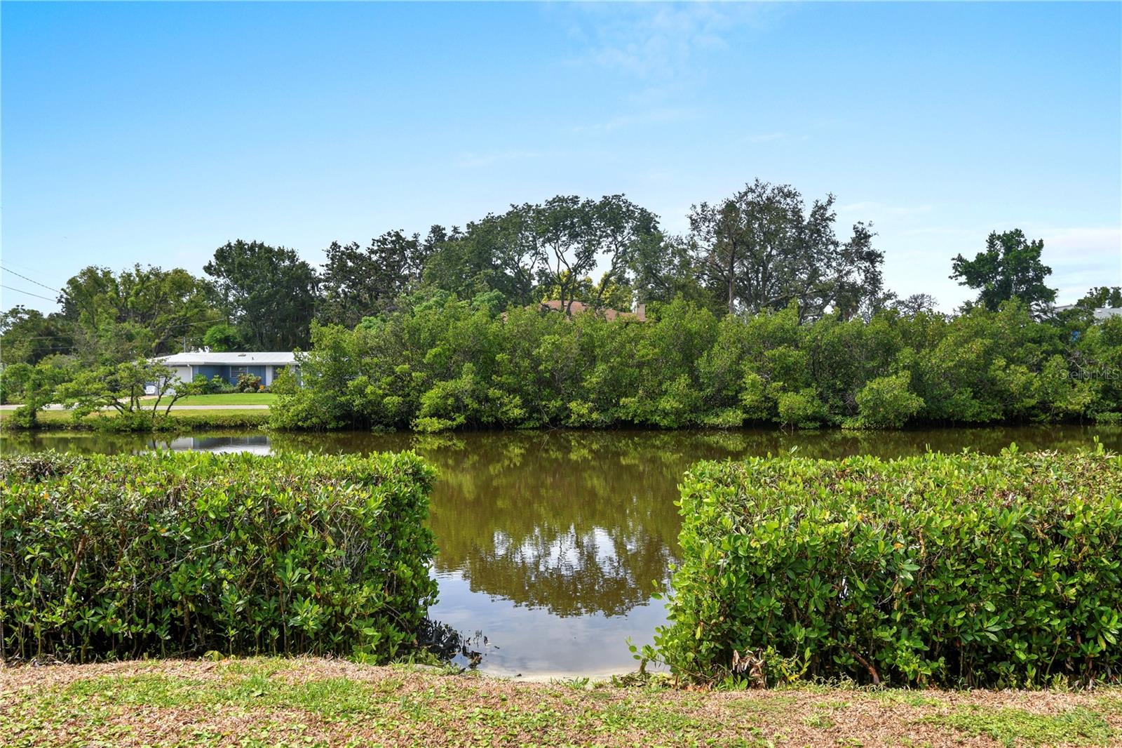 354 WILLOW LN