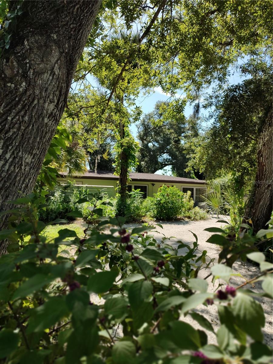 3400 CLARK DR