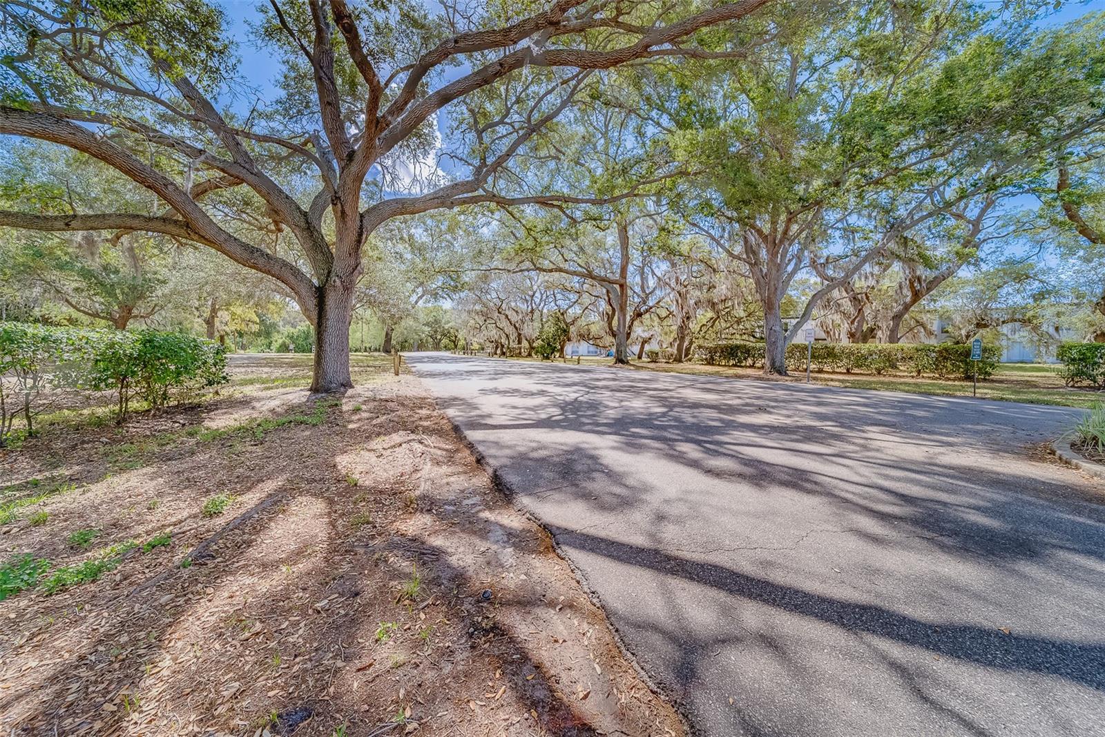 1303 BRIGADOON DRIVE