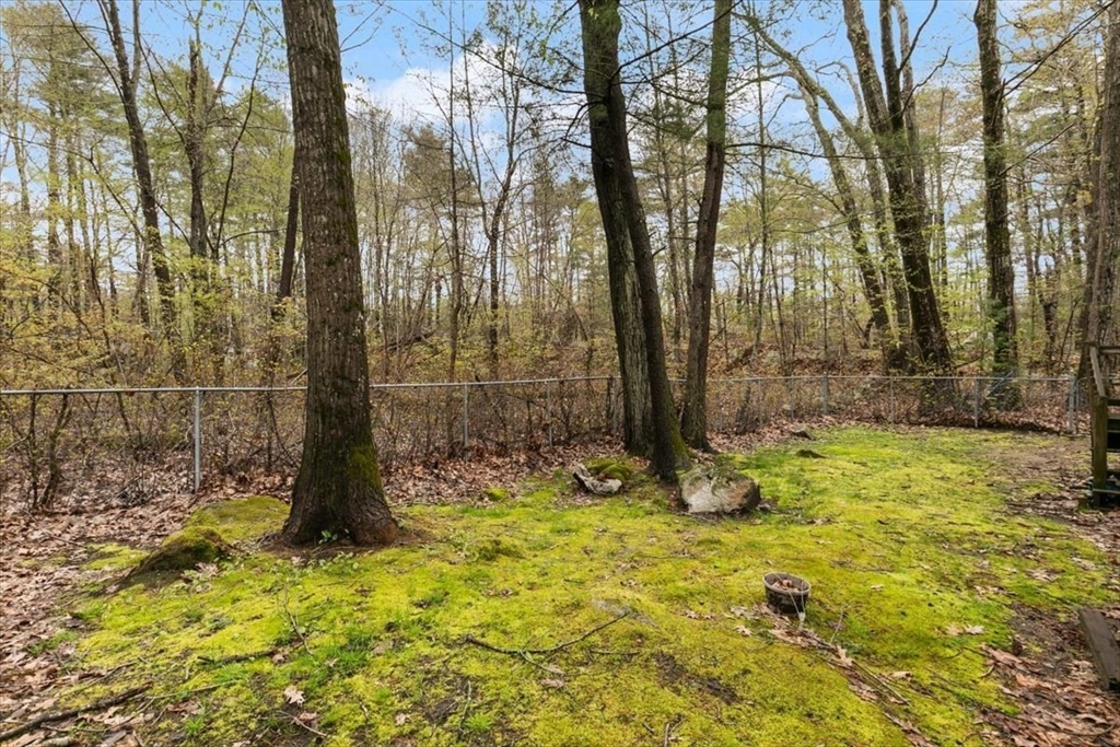 84 Forest Rd