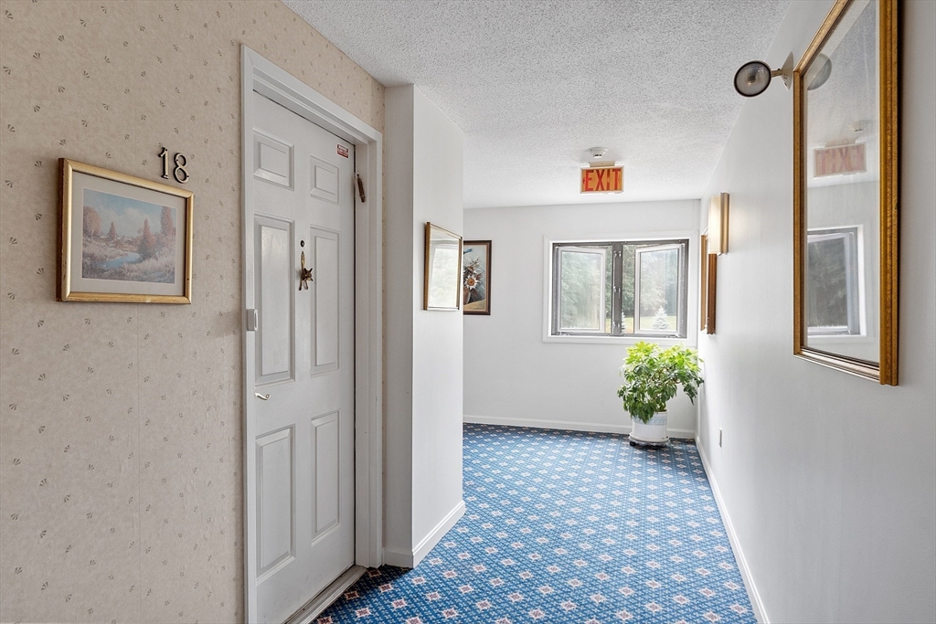 Hallway to unit 18 with blue patterned carpet and a potted plant by the windows.
