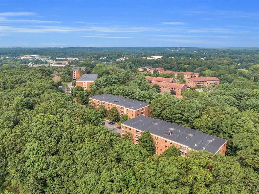 Aerial view of brick apartment buildings amid dense summer greenery.