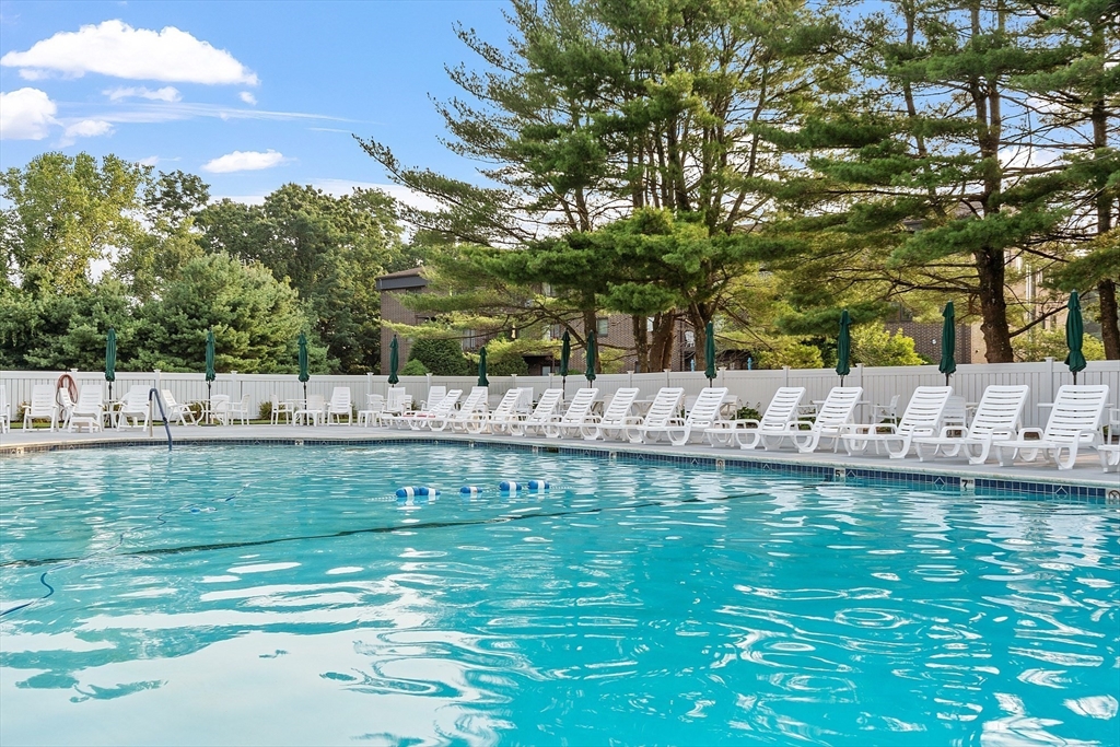 Outdoor pool with turquoise water, white lounge chairs, green umbrellas, and tall pine trees.
