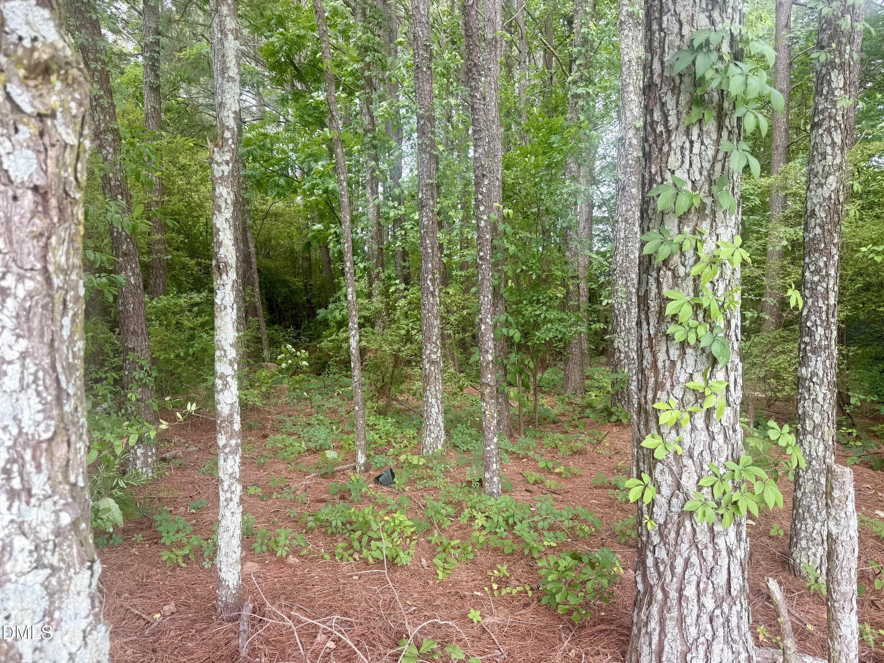 0 Happy Trails Lane