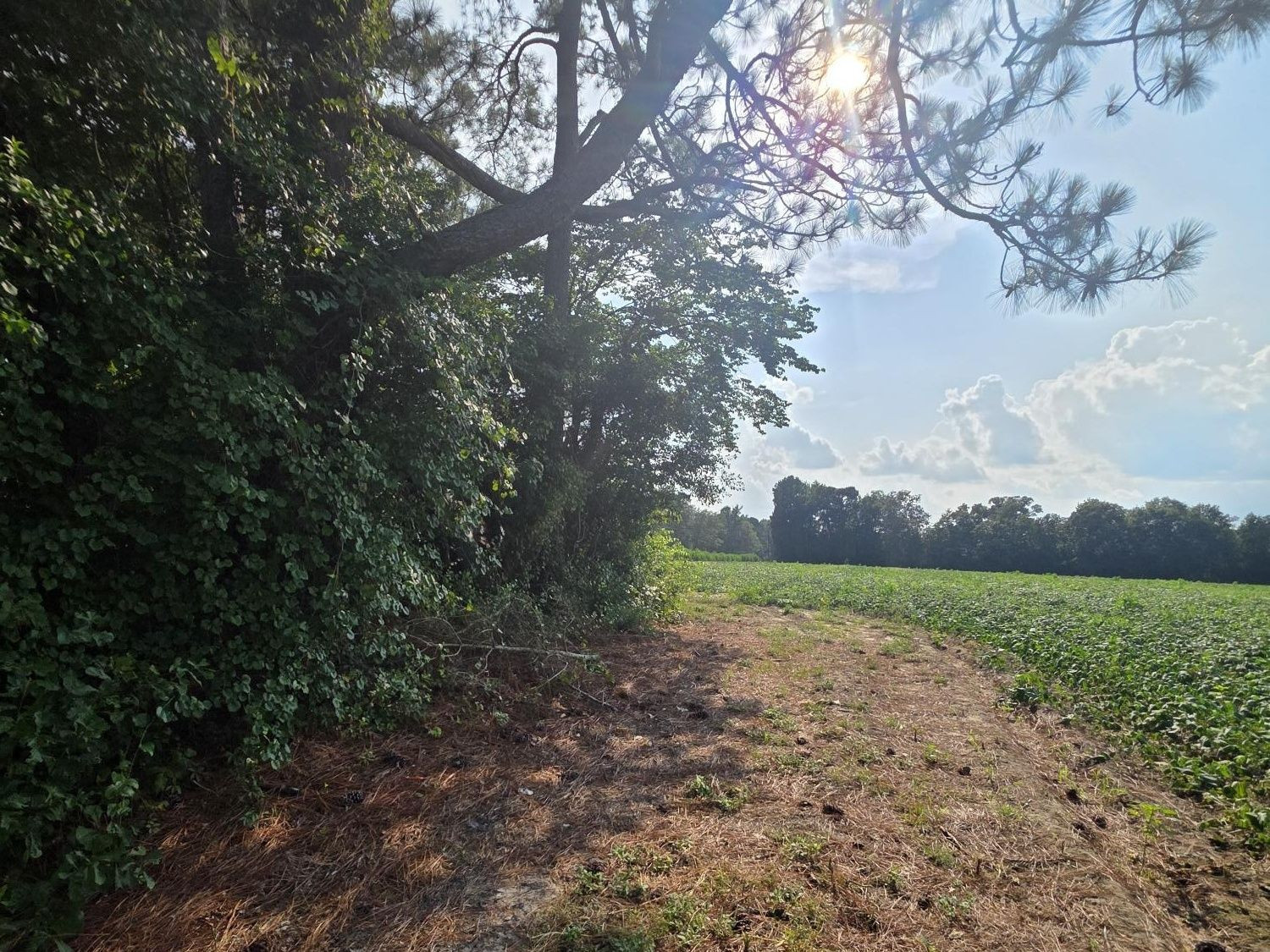 0 Eldridge Road