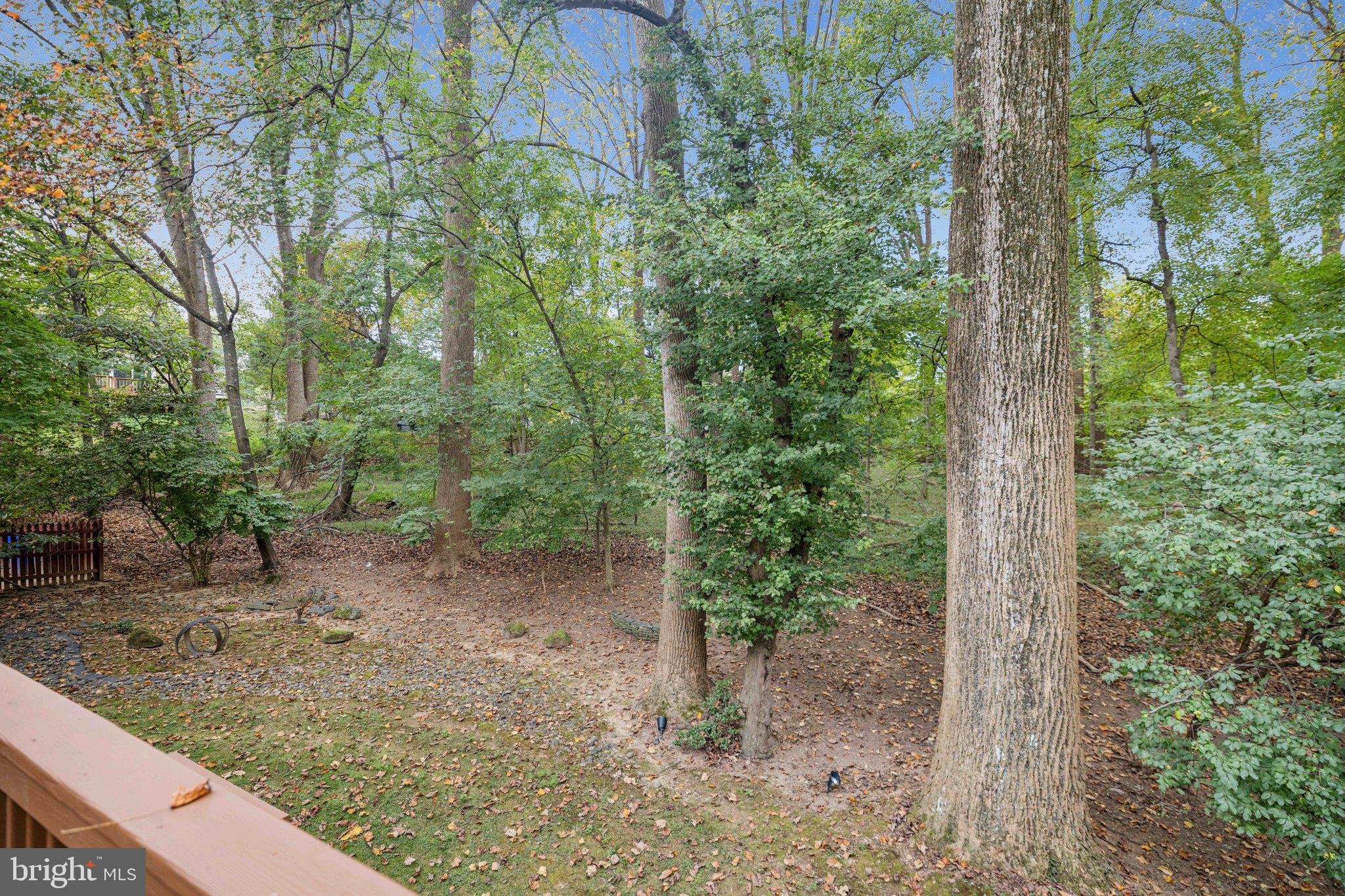 12204 GALESVILLE DRIVE