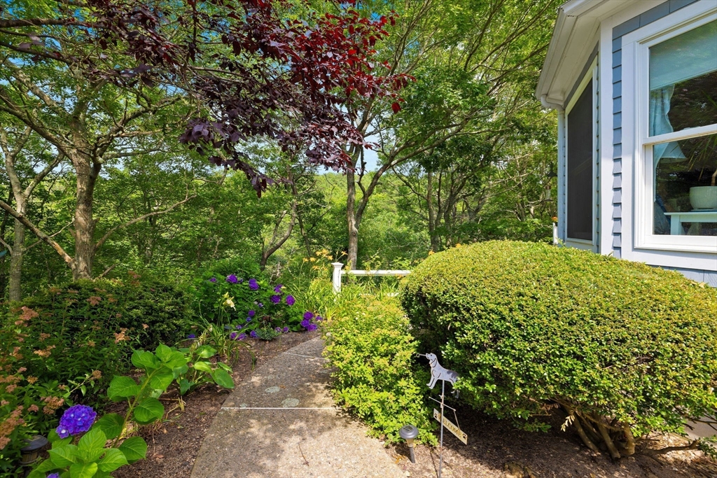 112 Saddleback Ln