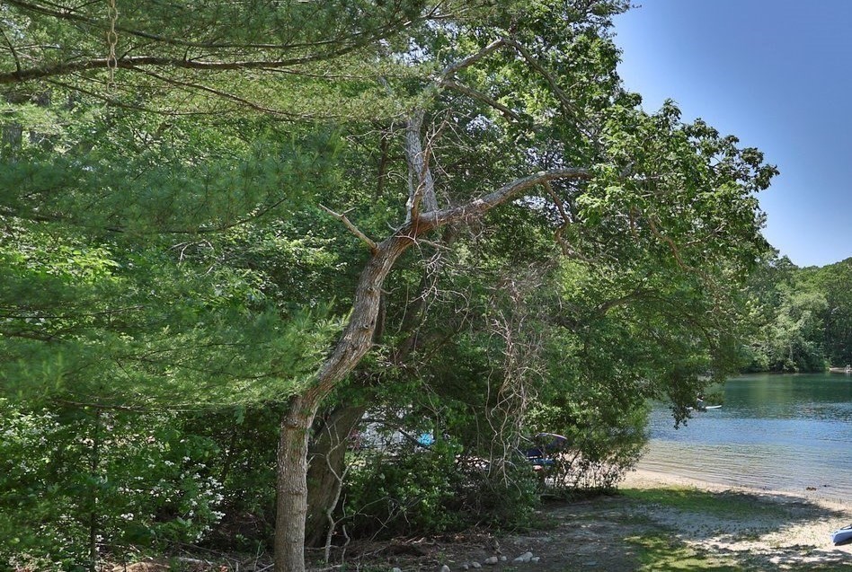 73 Lake Shore Dr