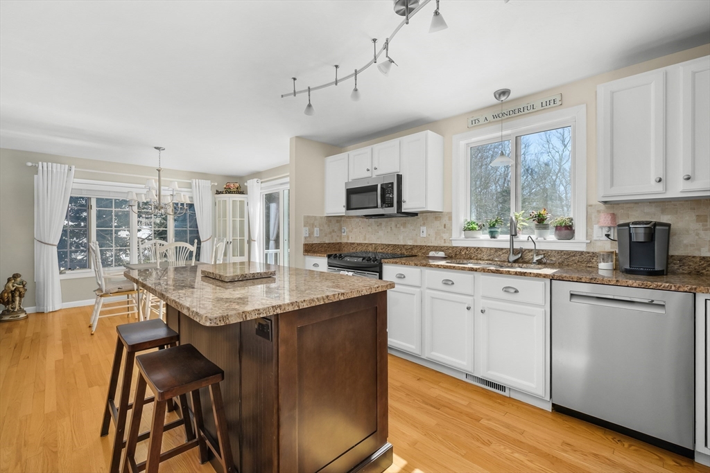 29 Appaloosa Way