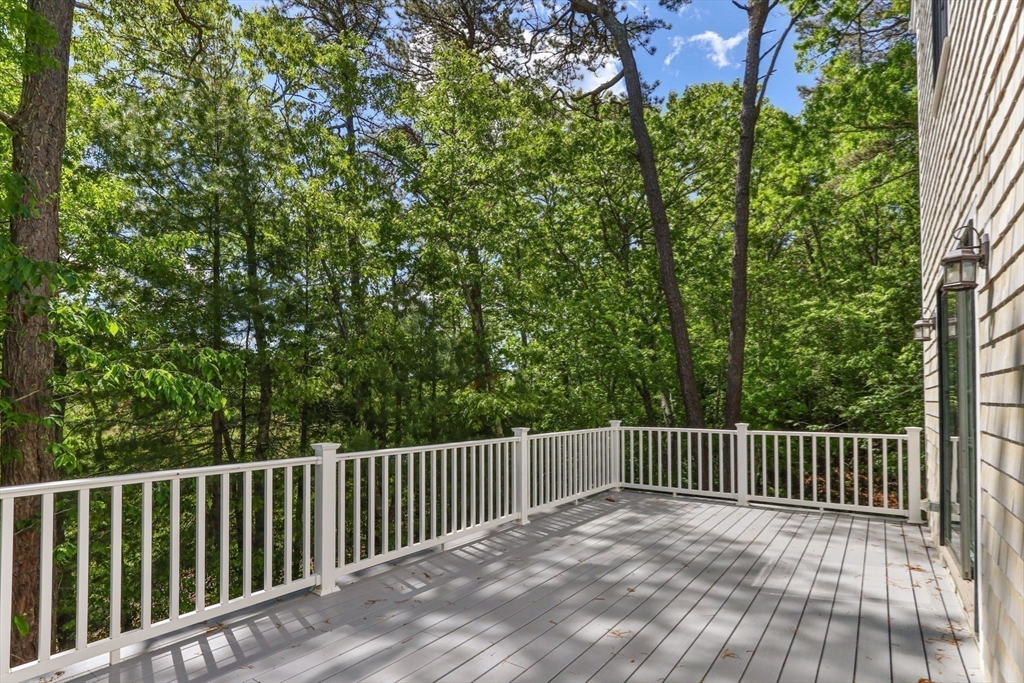 41 Little John Rd