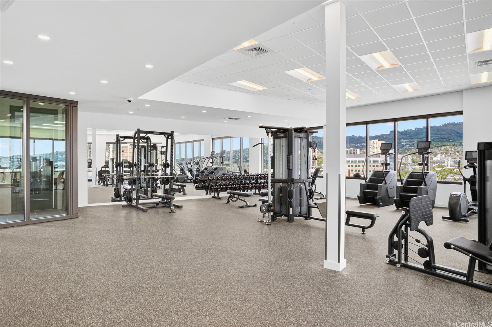 1515 Liona Street 4101