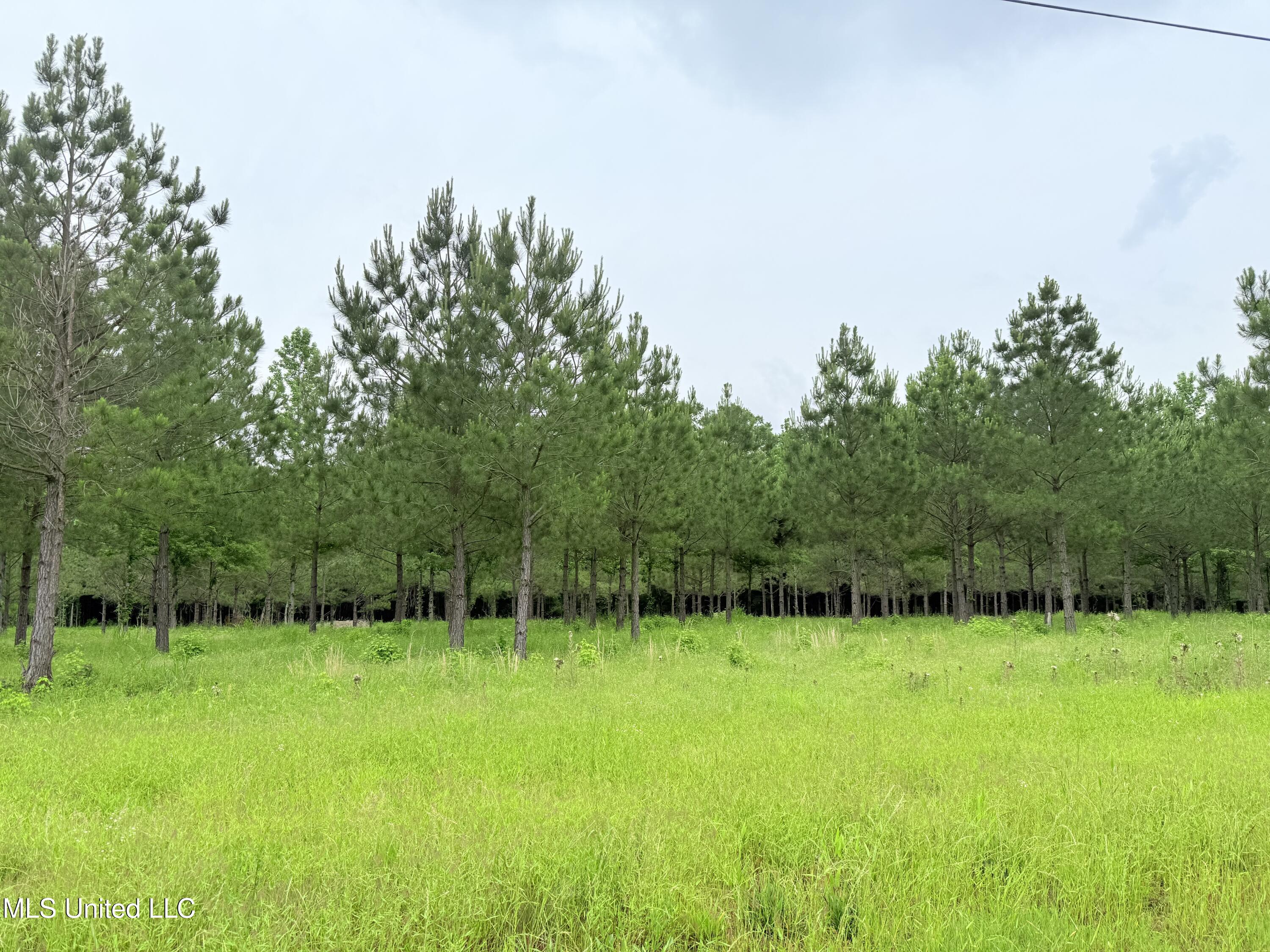 Stout Farms Drive