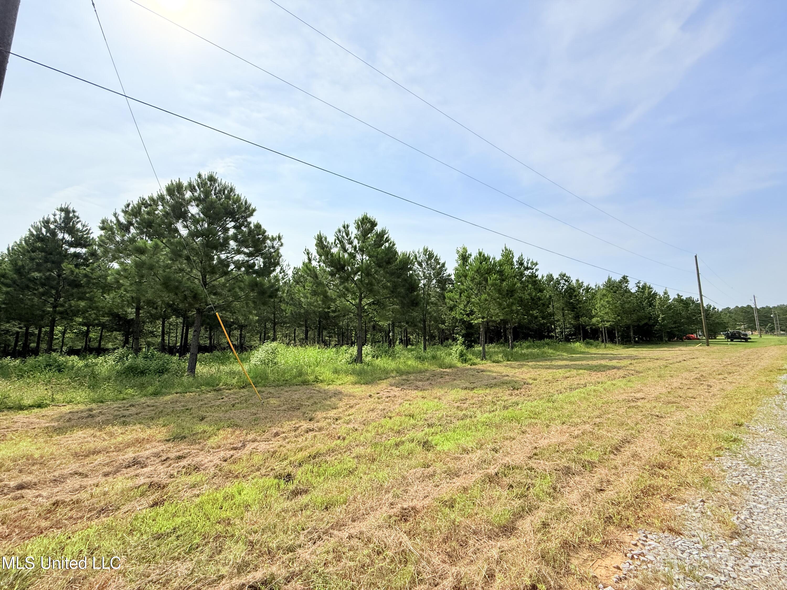 Stout Farms Drive