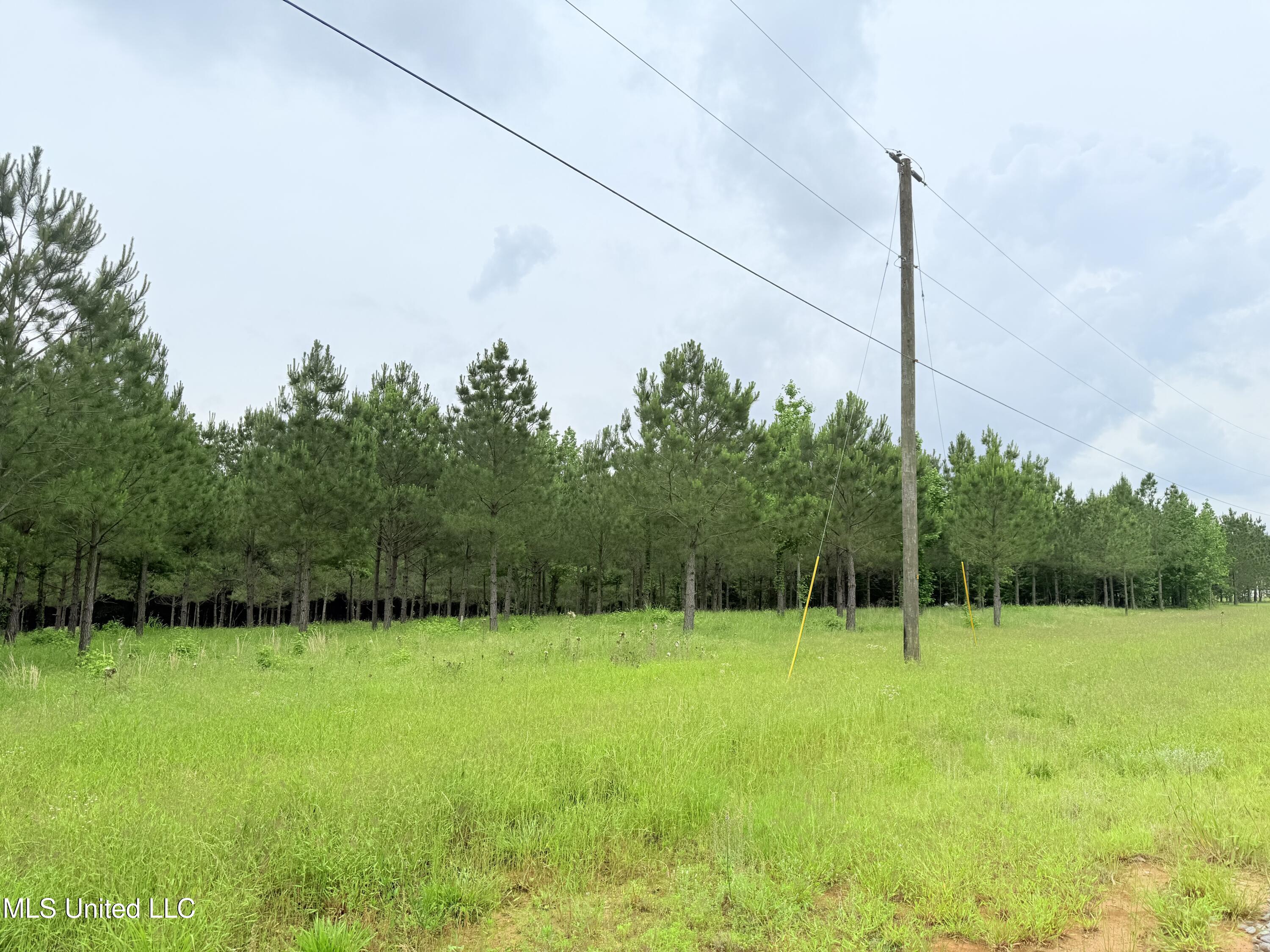 Stout Farms Drive