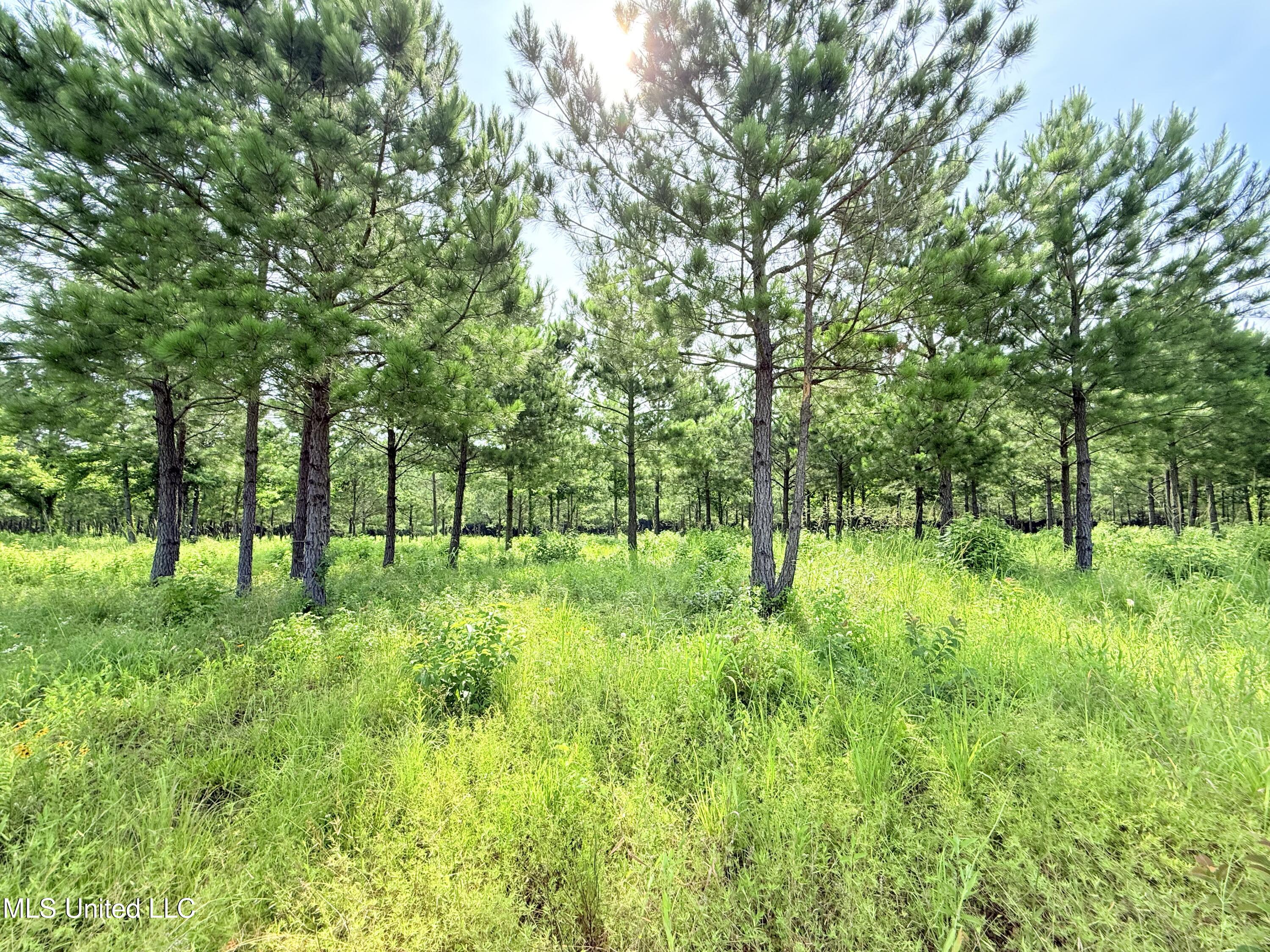 Stout Farms Drive