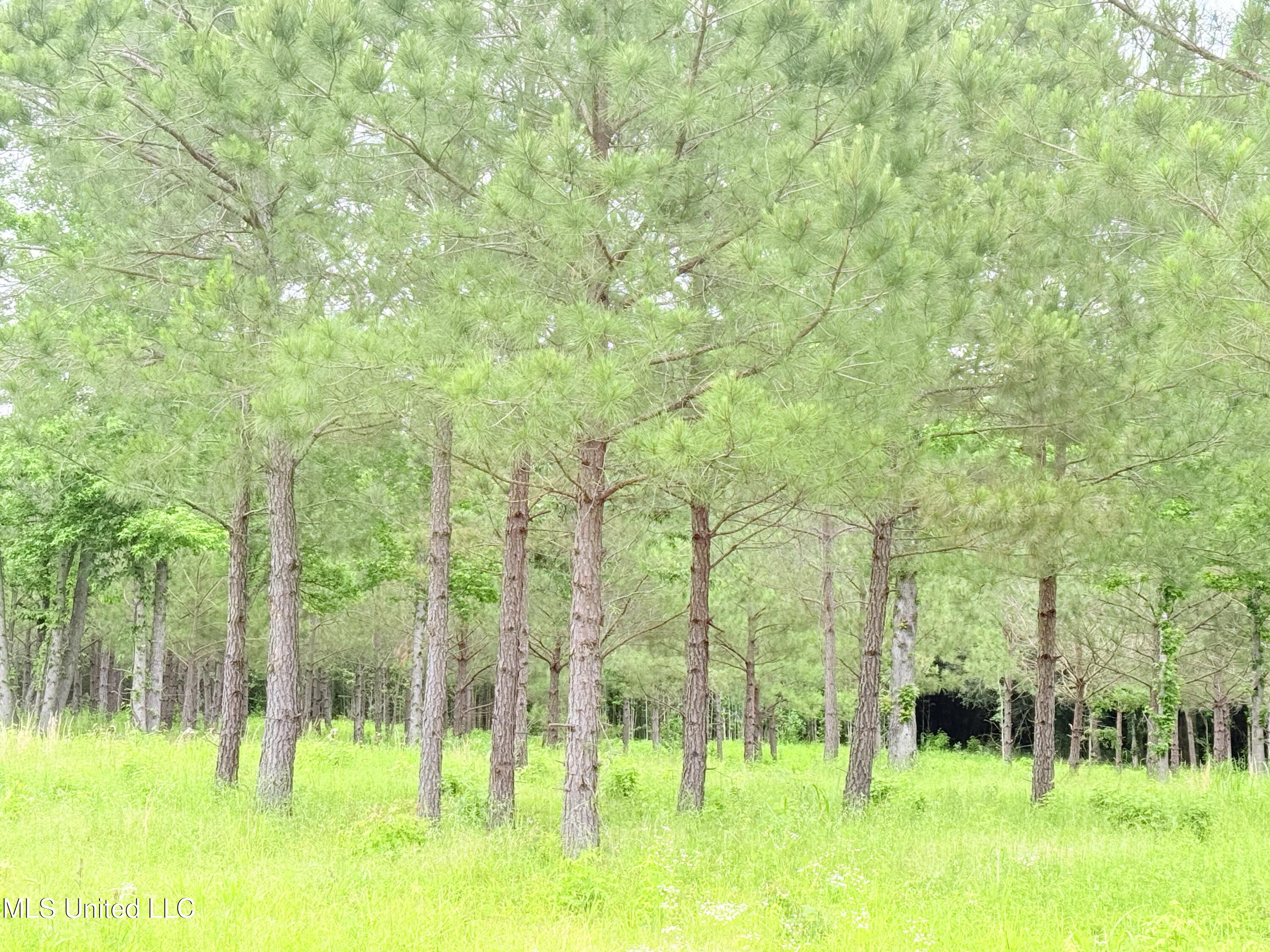 Stout Farms Drive