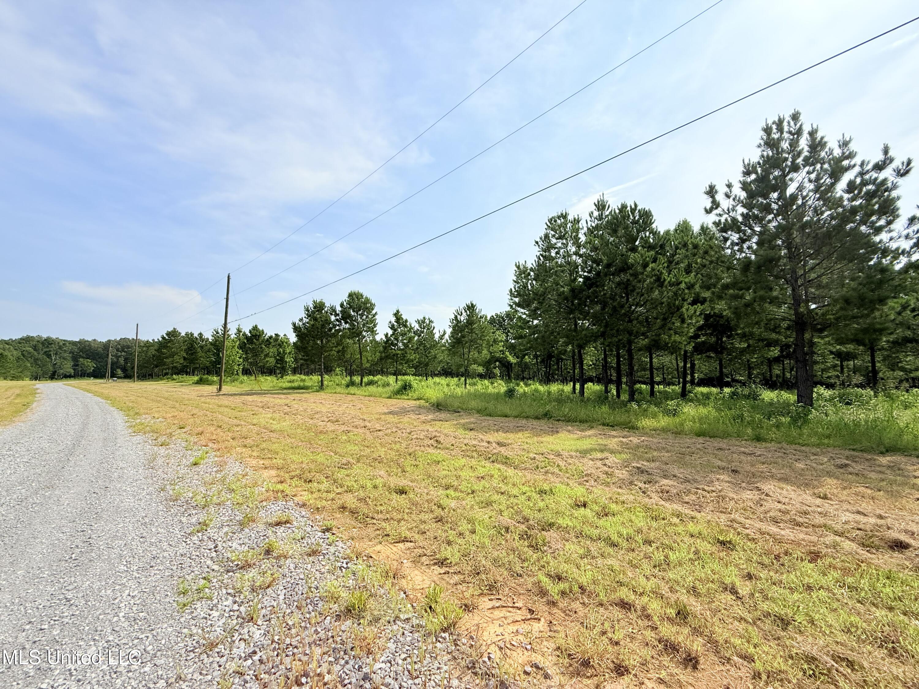 Stout Farms Drive