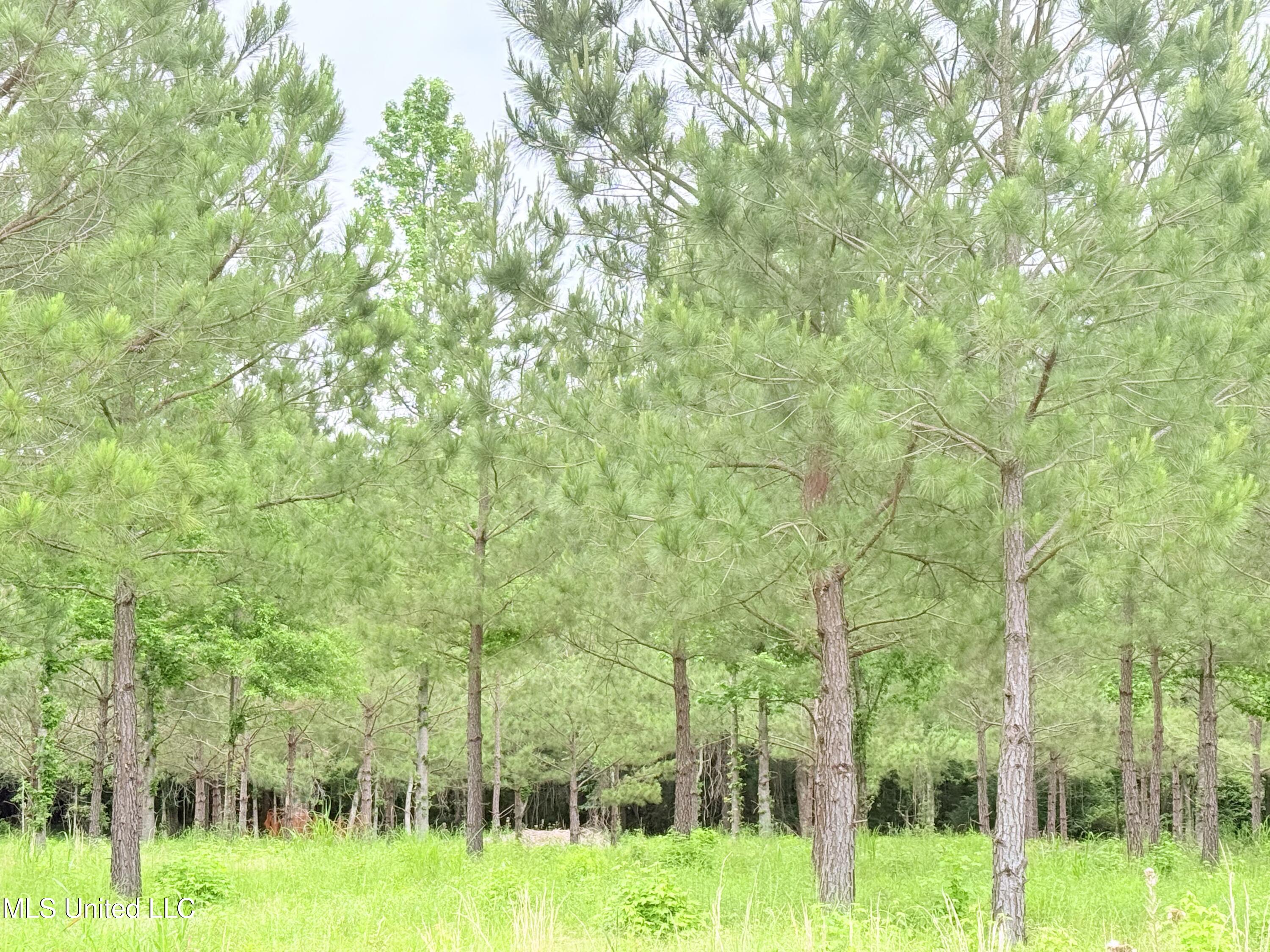 Stout Farms Drive