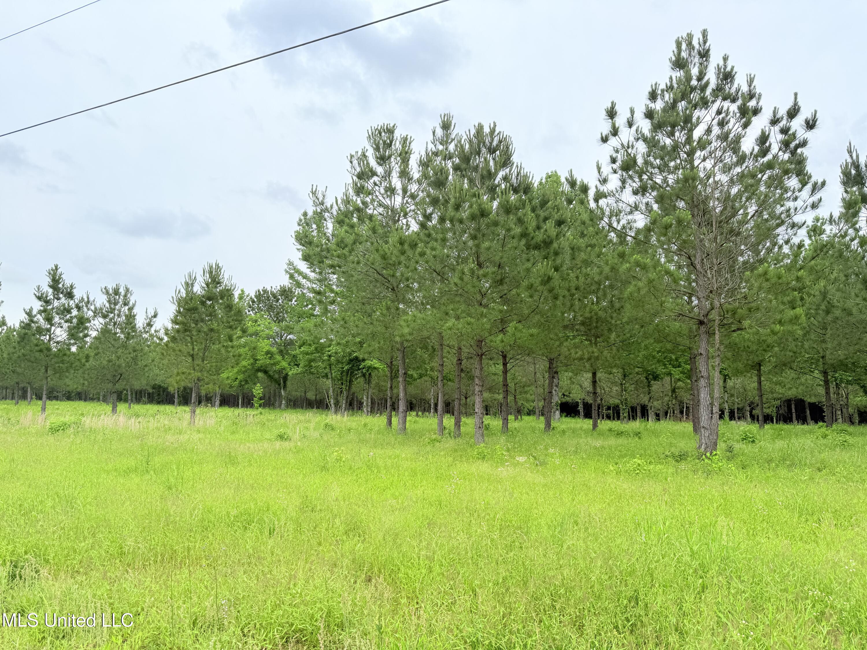 Stout Farms Drive