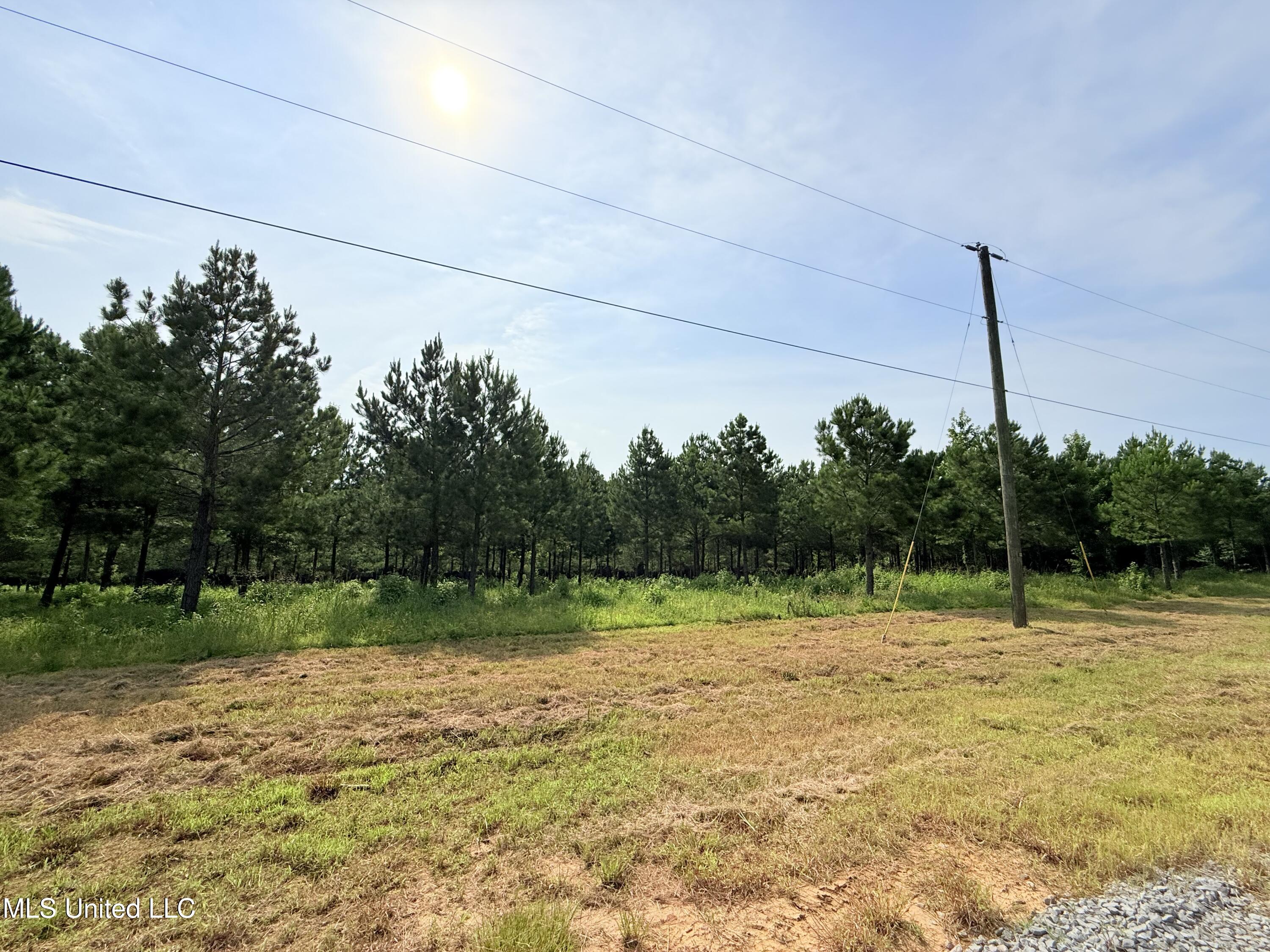 Stout Farms Drive