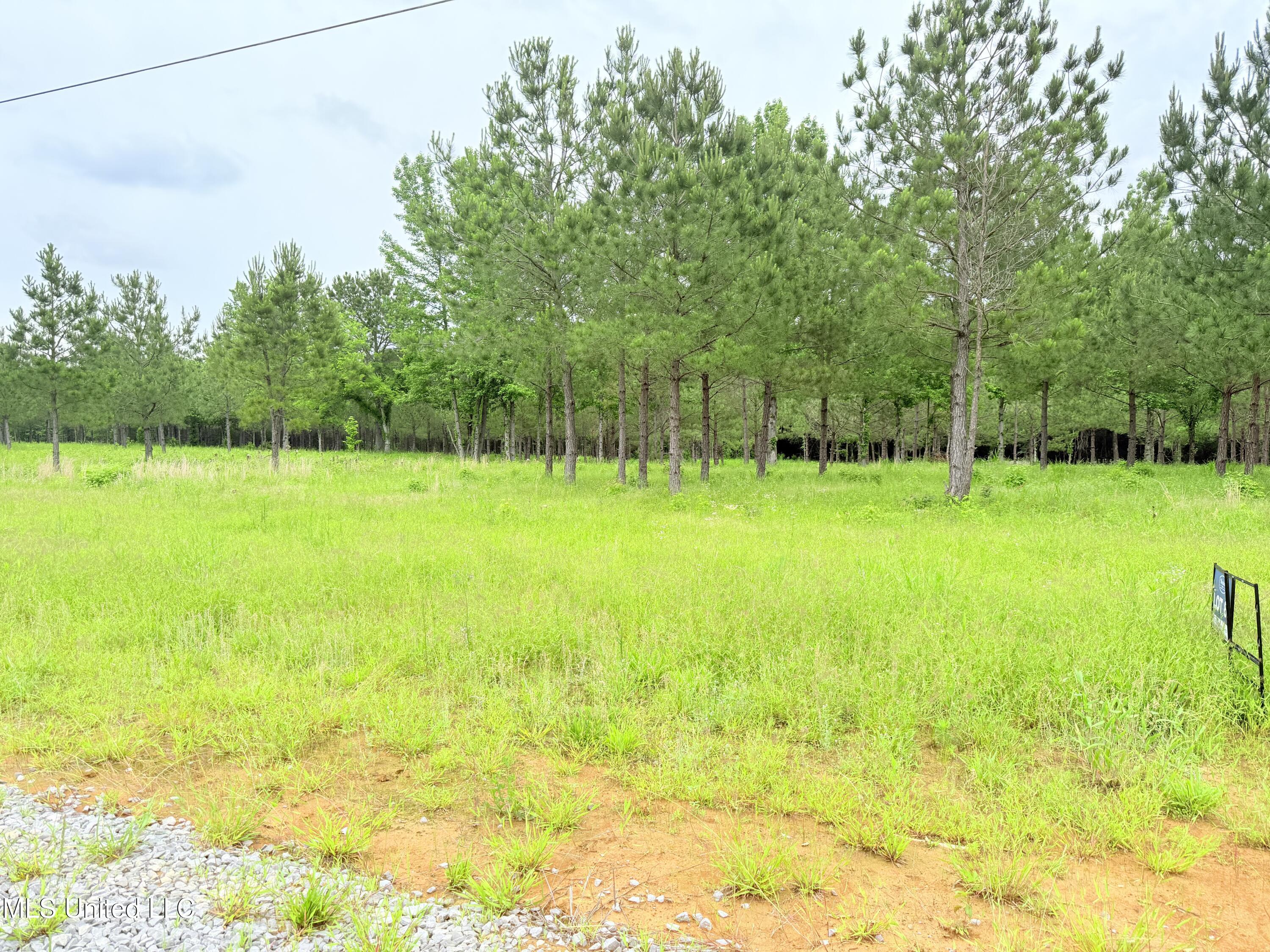 Stout Farms Drive