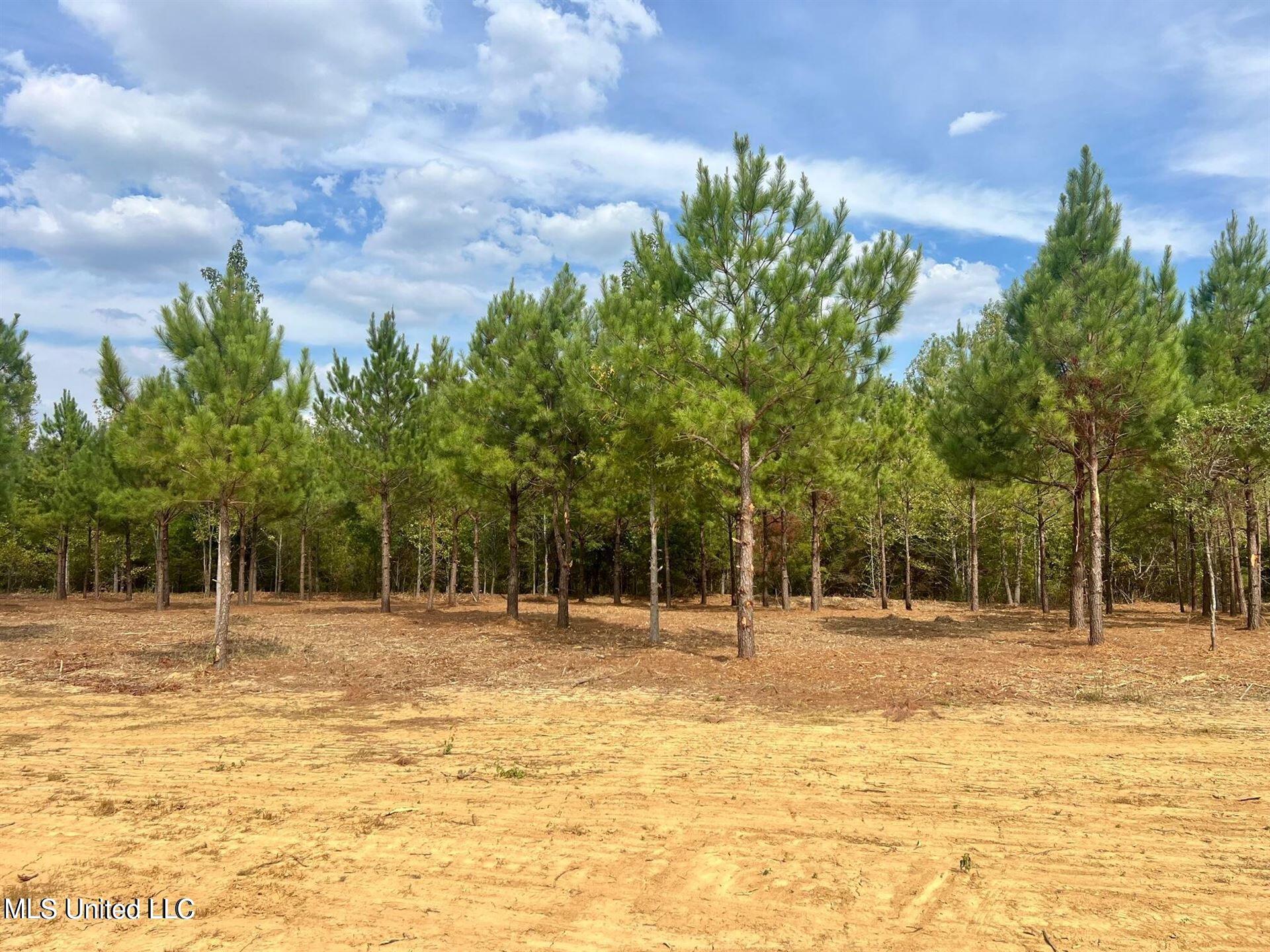 Stout Farms Drive