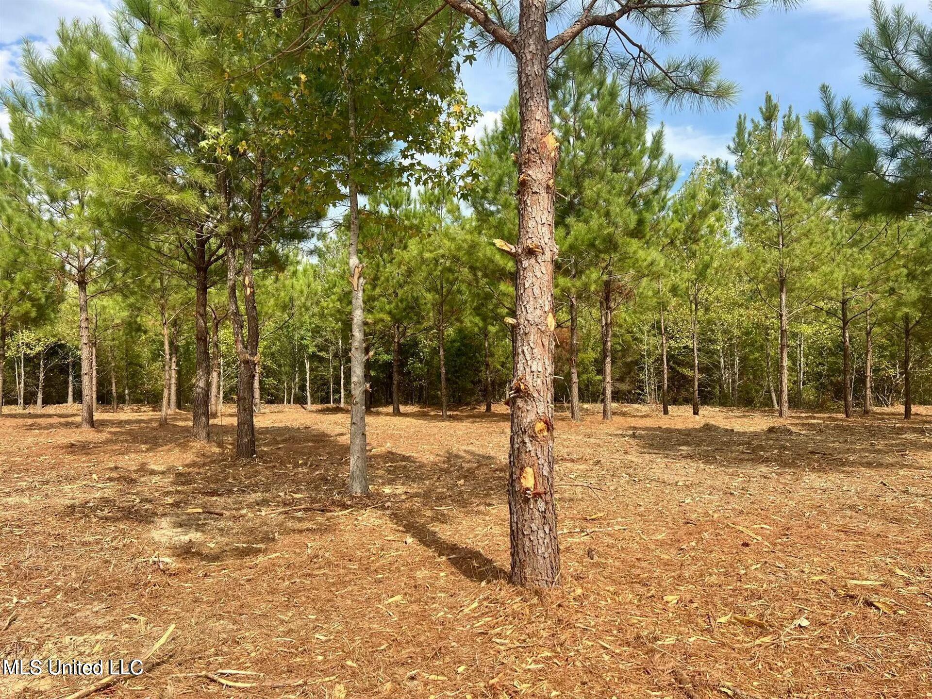 Stout Farms Drive