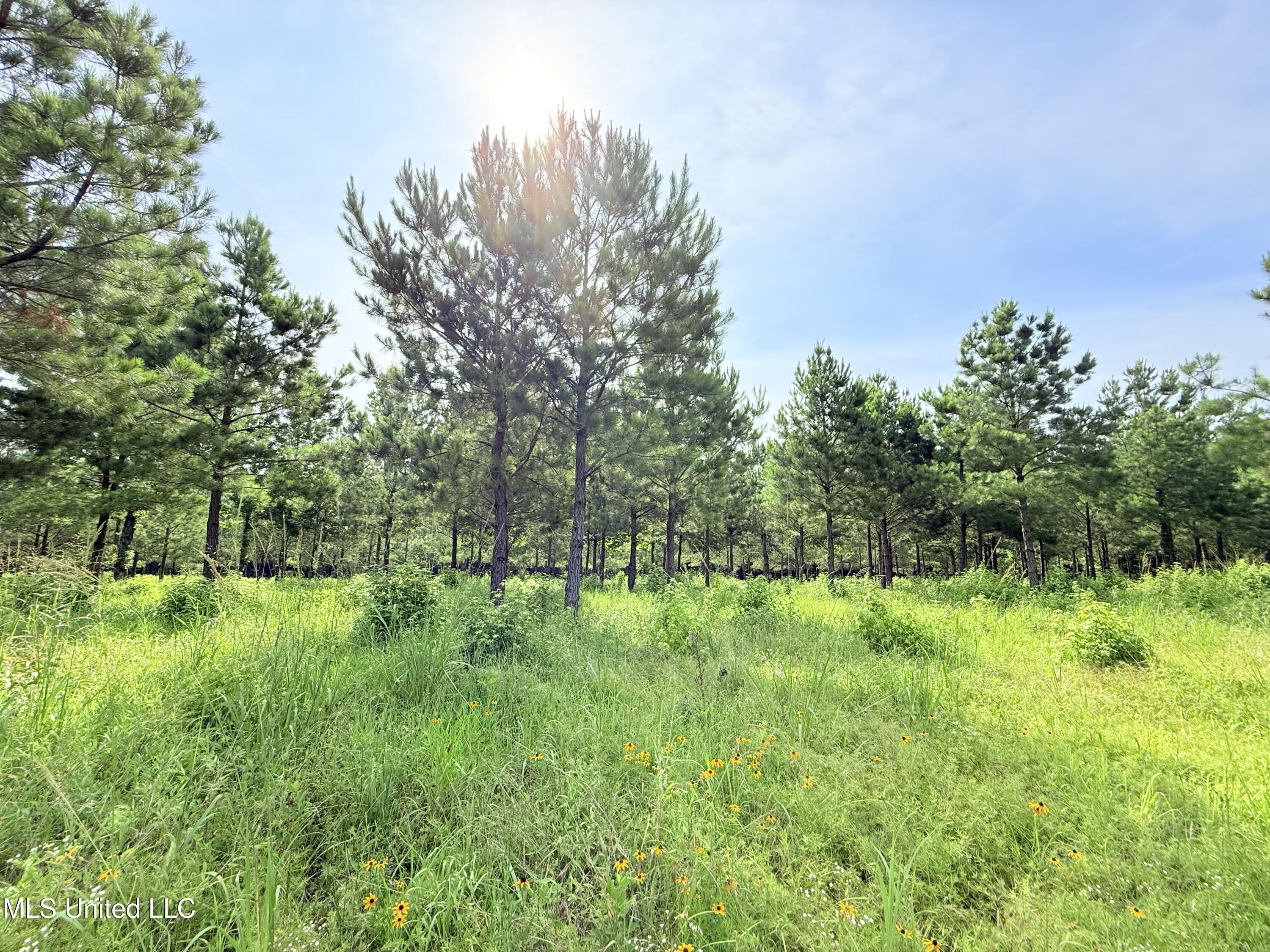 Stout Farms Drive
