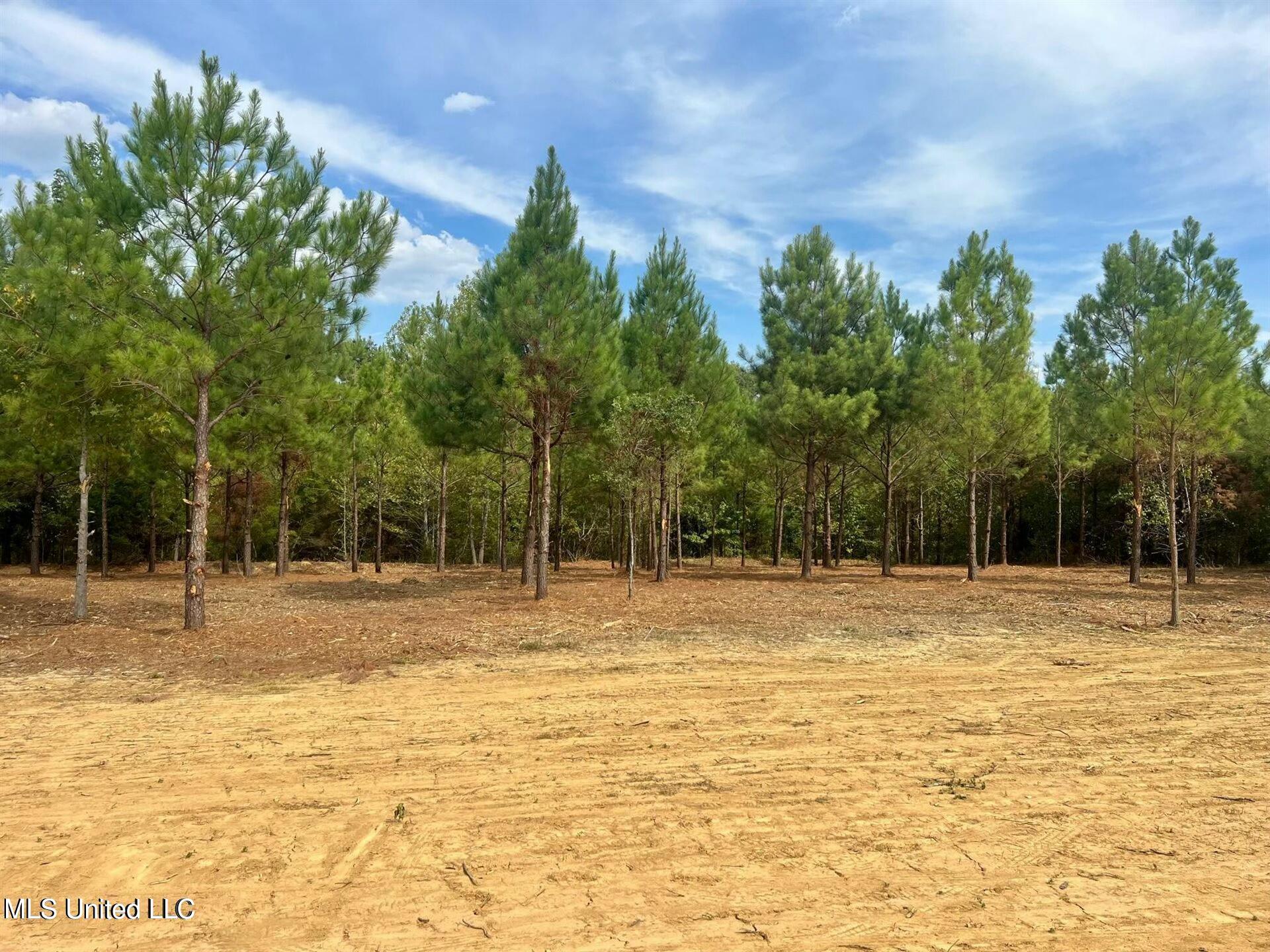 Stout Farms Drive