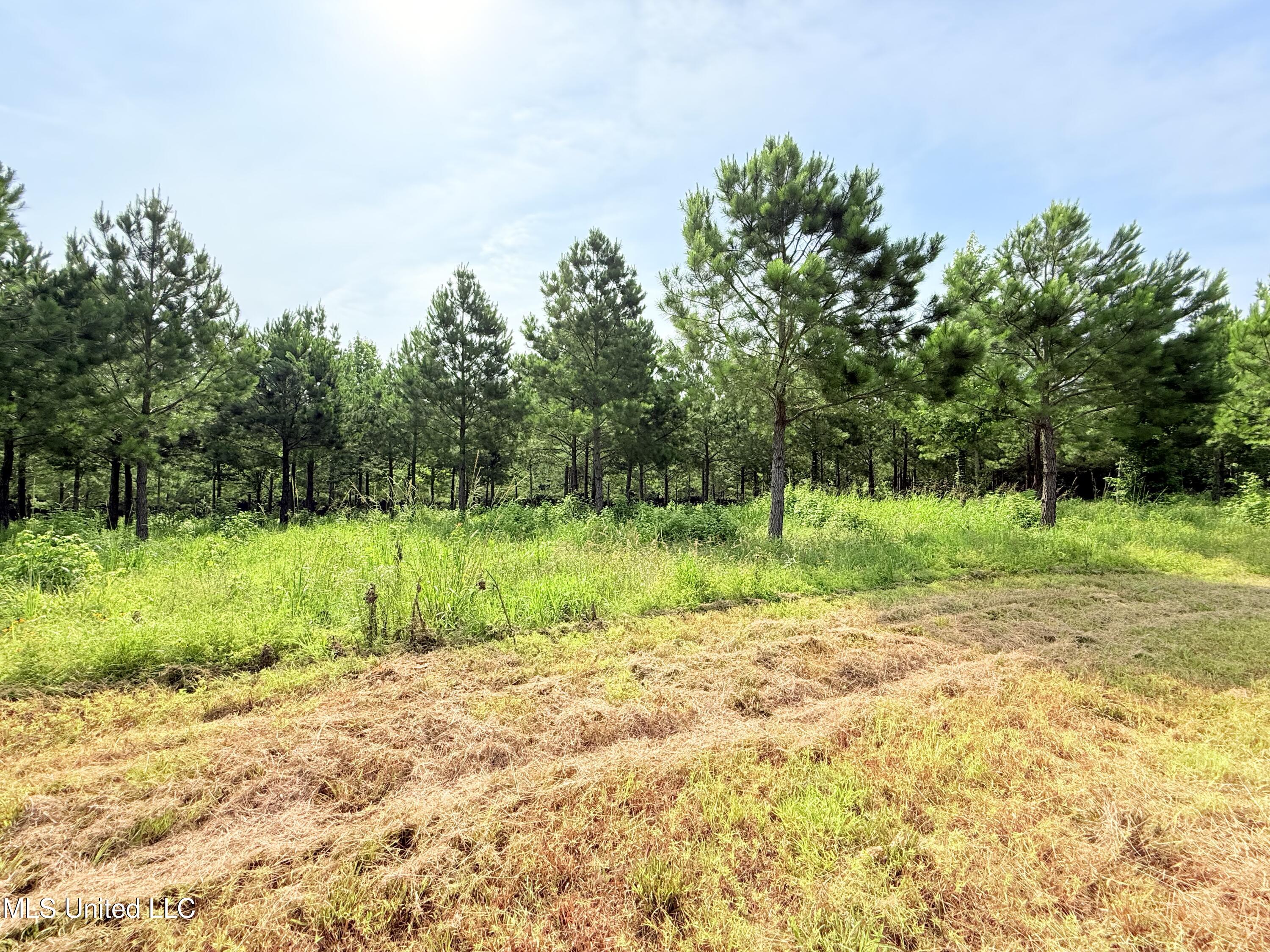 Stout Farms Drive