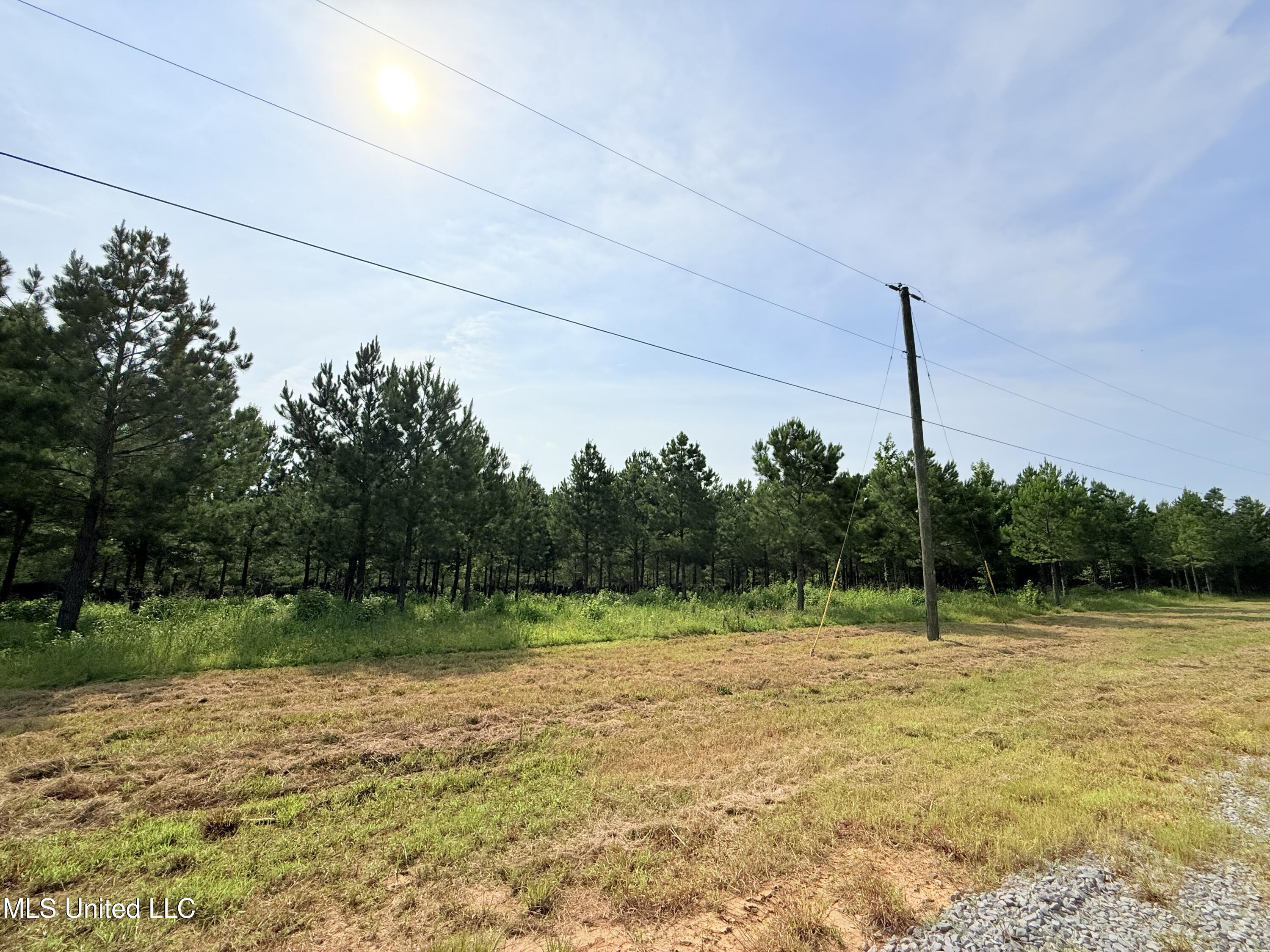 Stout Farms Drive