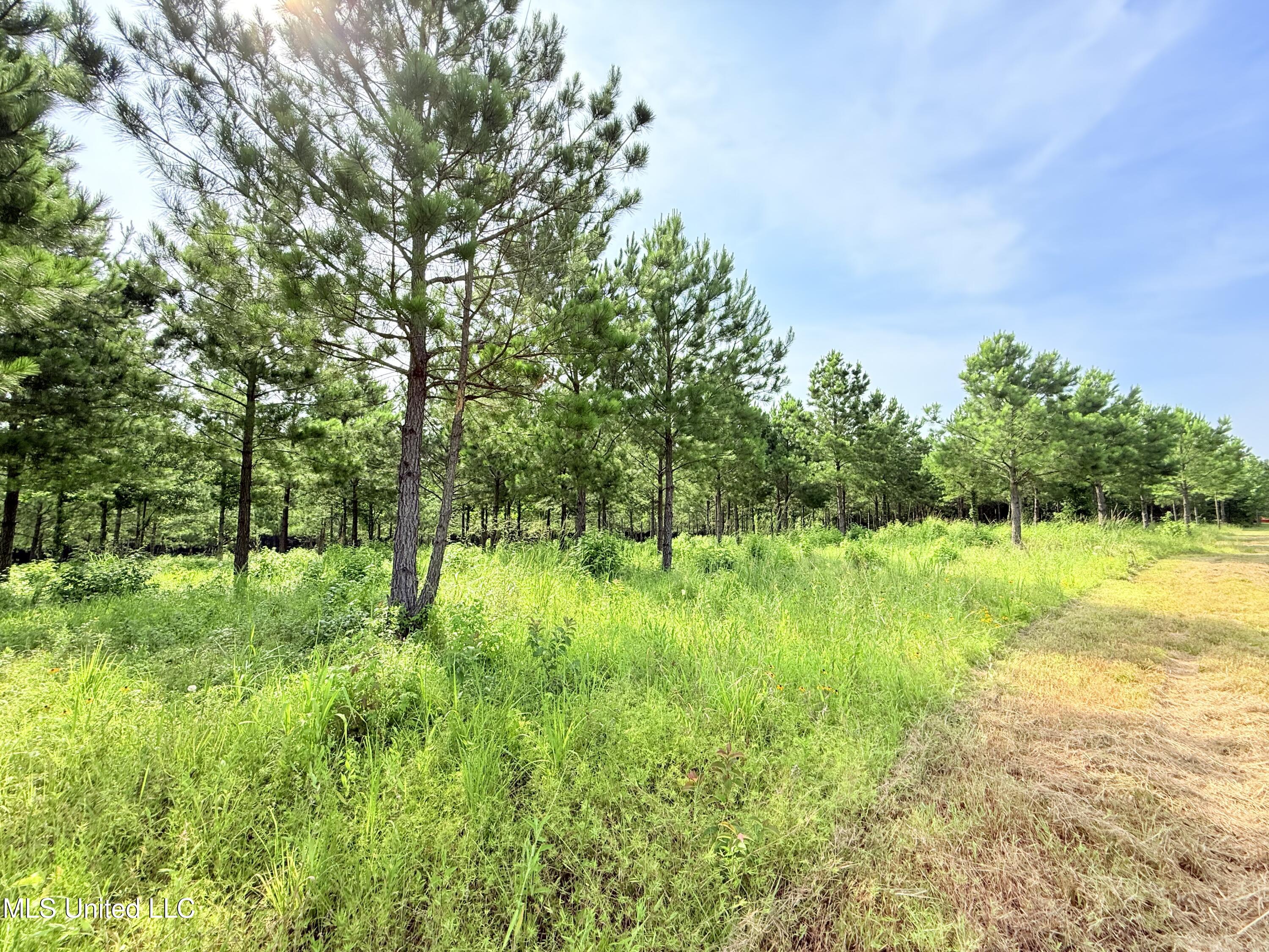 Stout Farms Drive