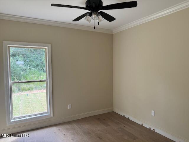 343 Willow Way