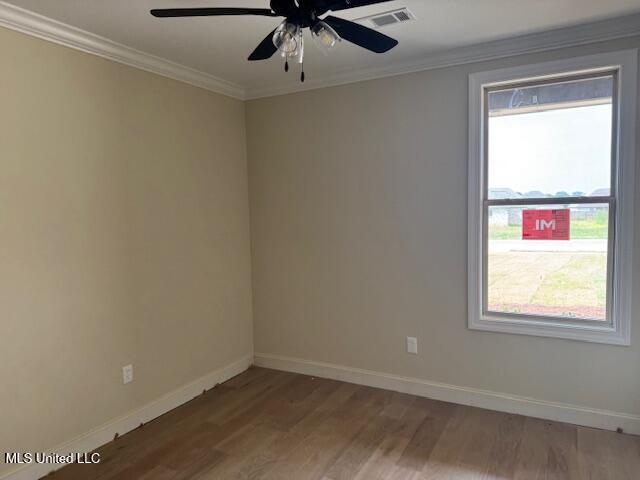 343 Willow Way