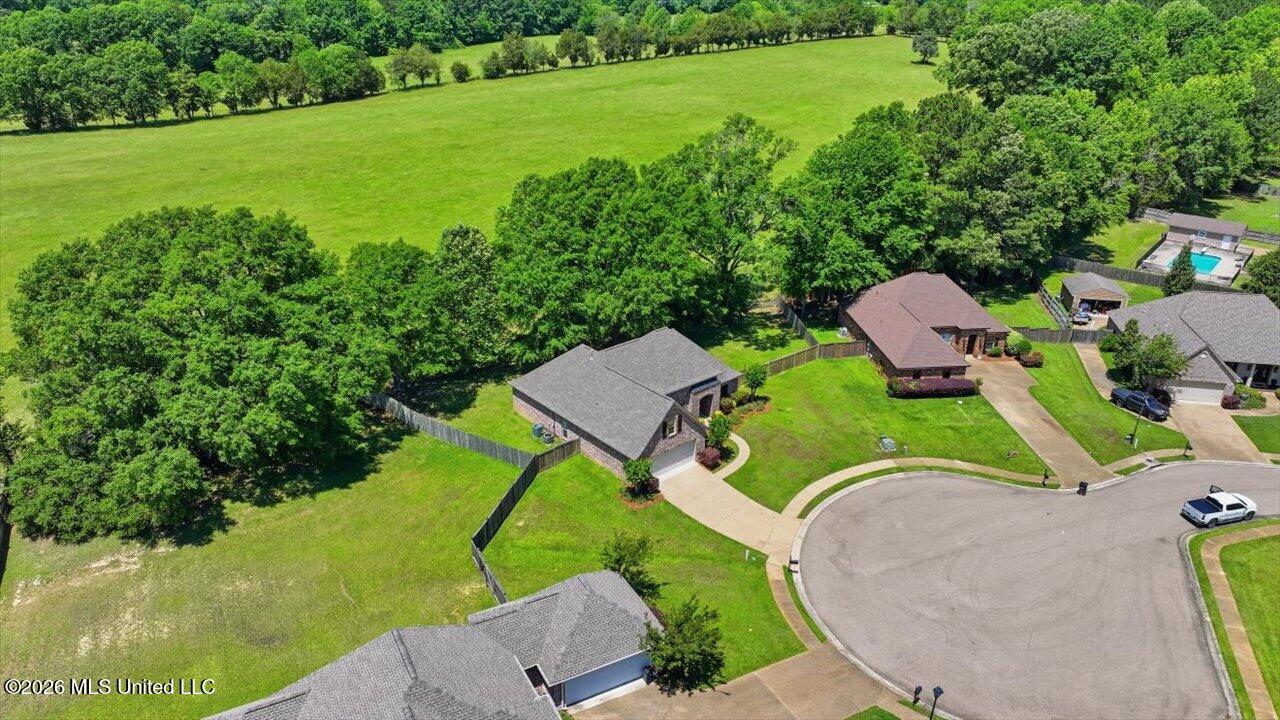 306 Cedar Stone Court