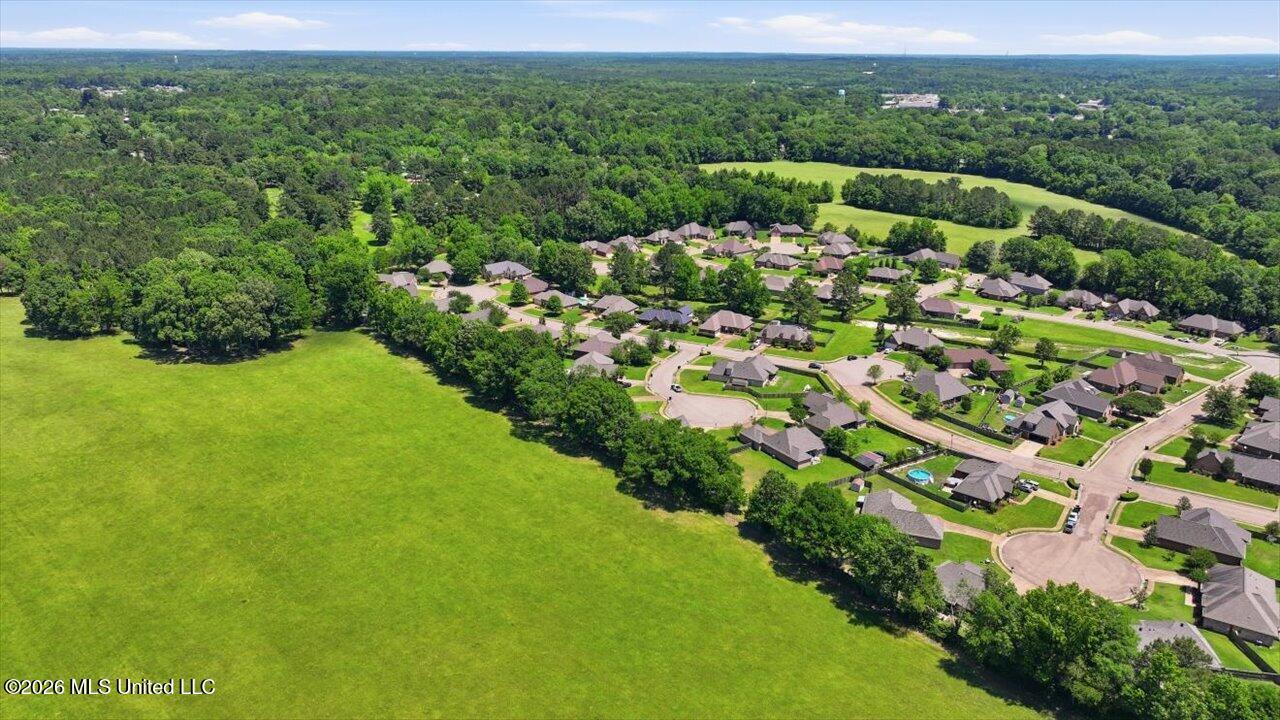 306 Cedar Stone Court