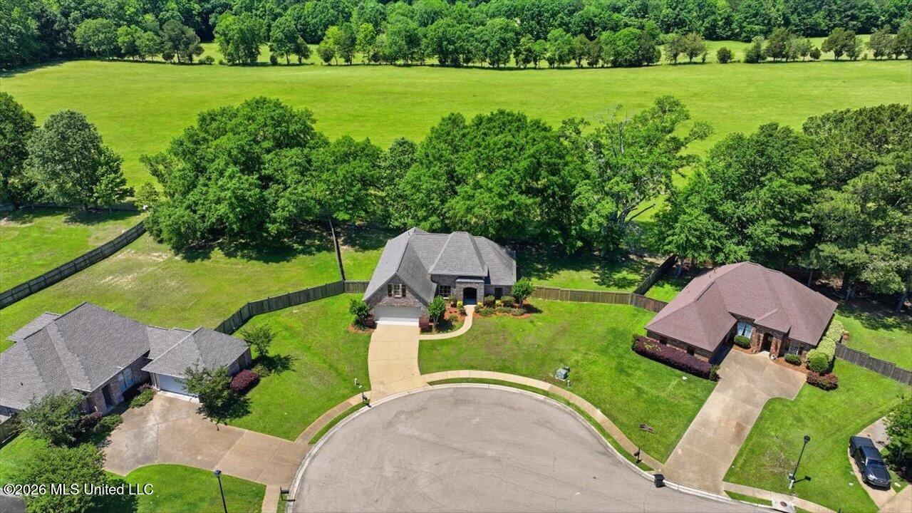 306 Cedar Stone Court