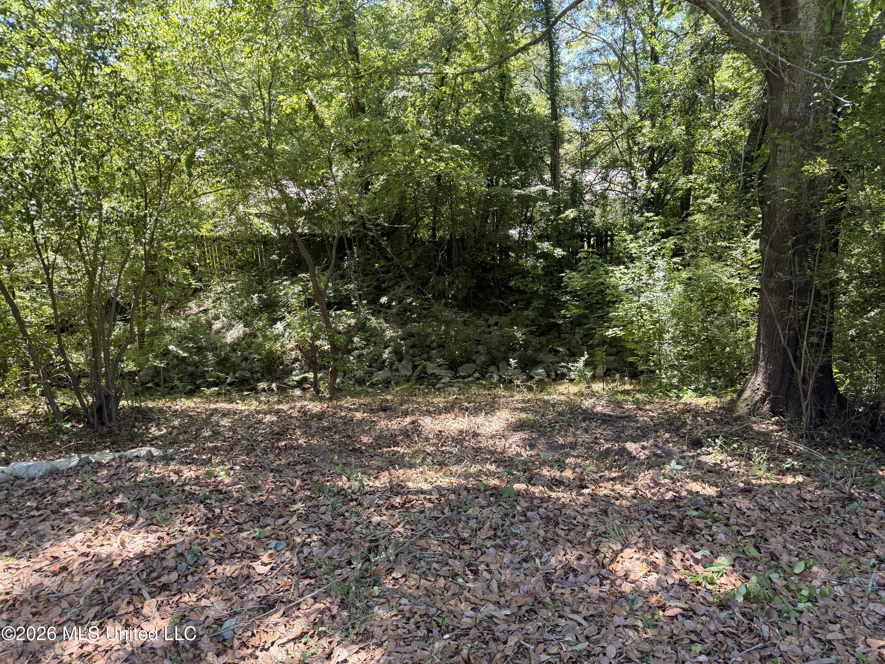2229 Scanlon Drive