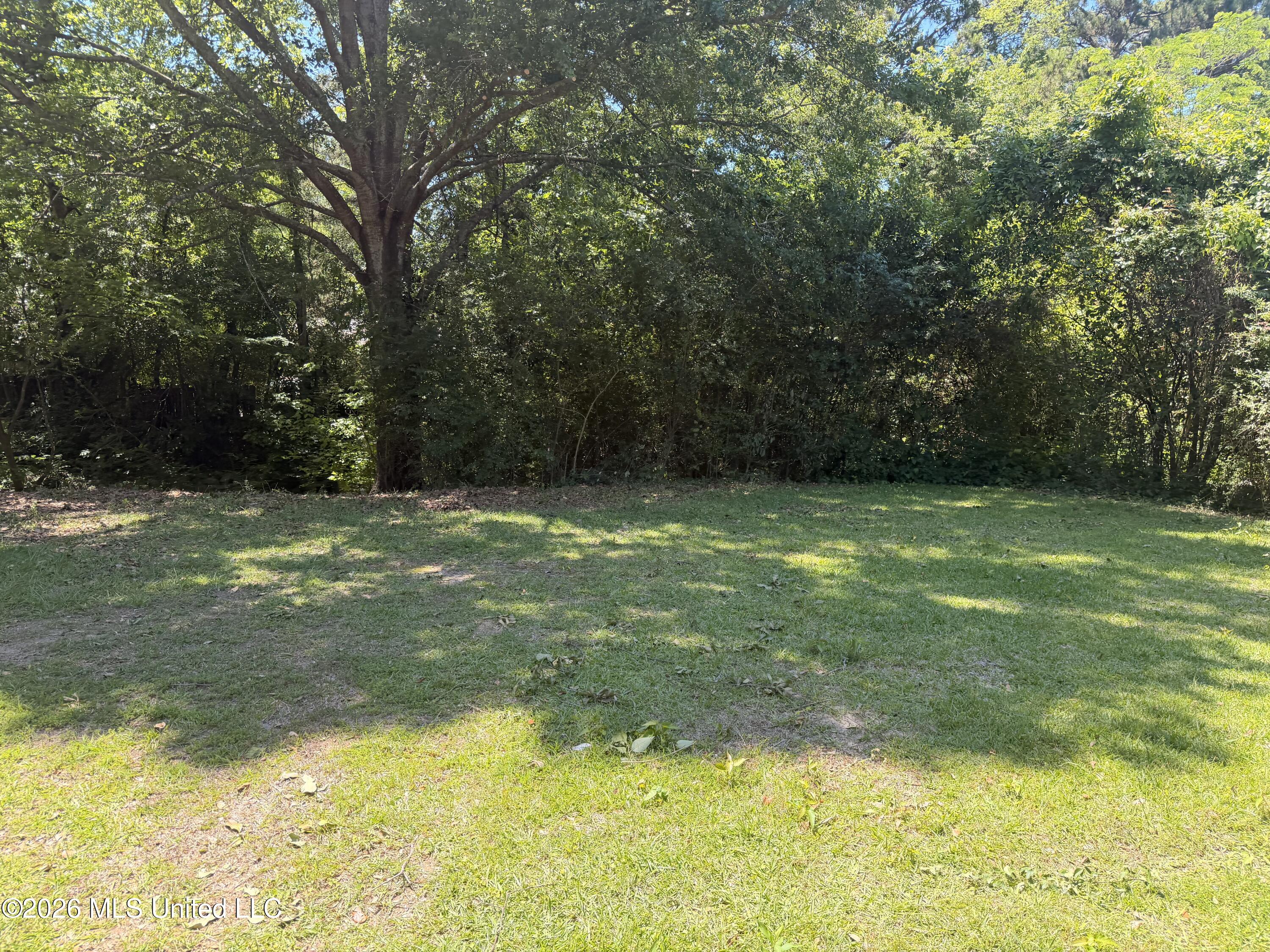 2229 Scanlon Drive