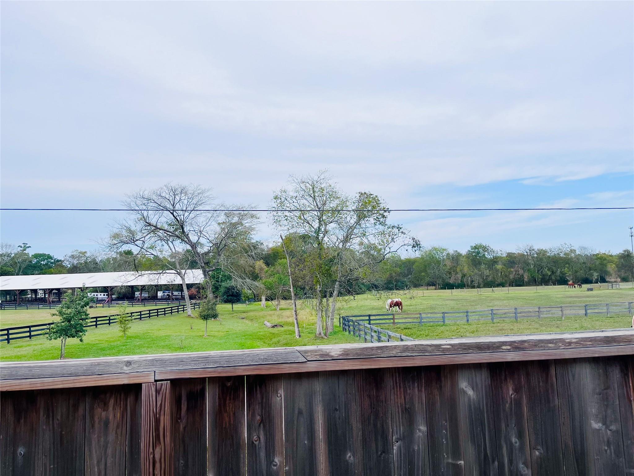 6223 Topaz Pines Trail